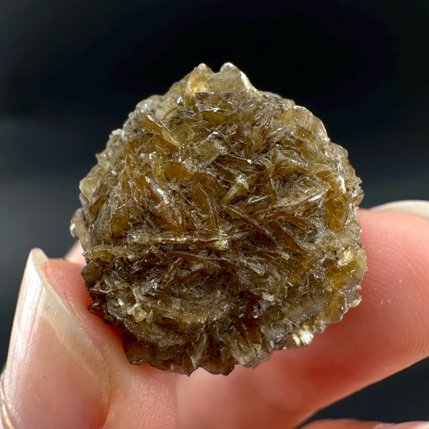 Golden Selenite Rosette | Fluorescent UV Reactive Gypsum Crystal