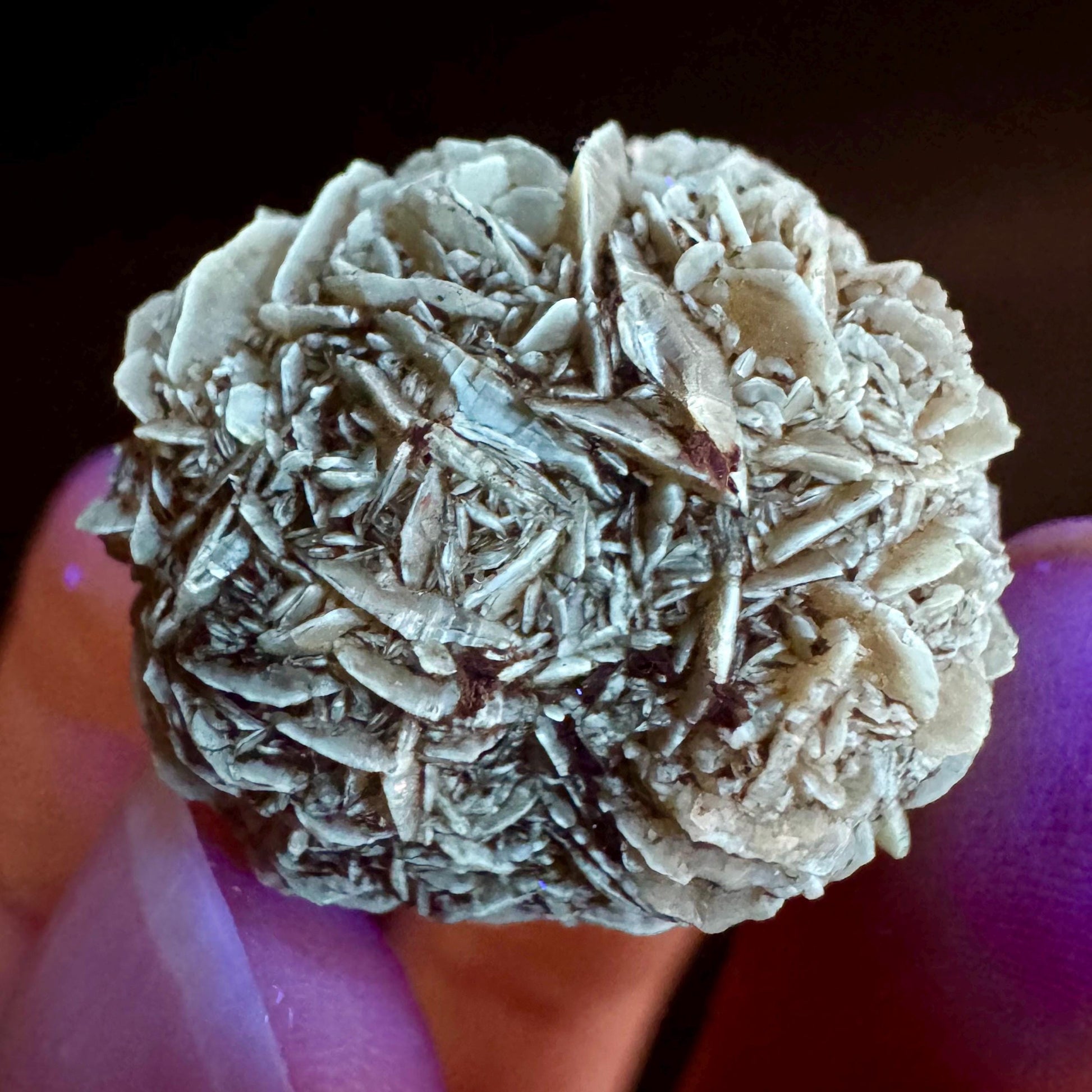 Golden Selenite Rosette | Fluorescent UV Reactive Gypsum Crystal