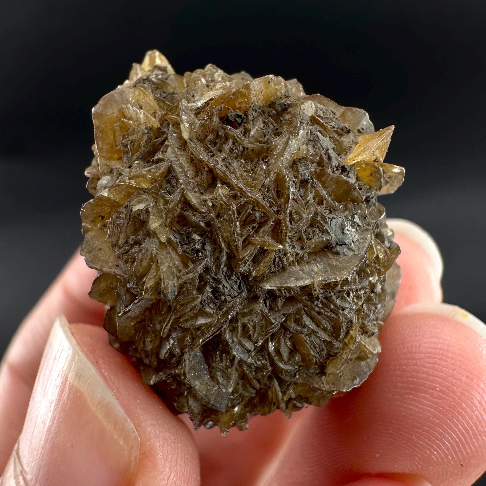 Golden Selenite Rosette | Fluorescent UV Reactive Gypsum Crystal