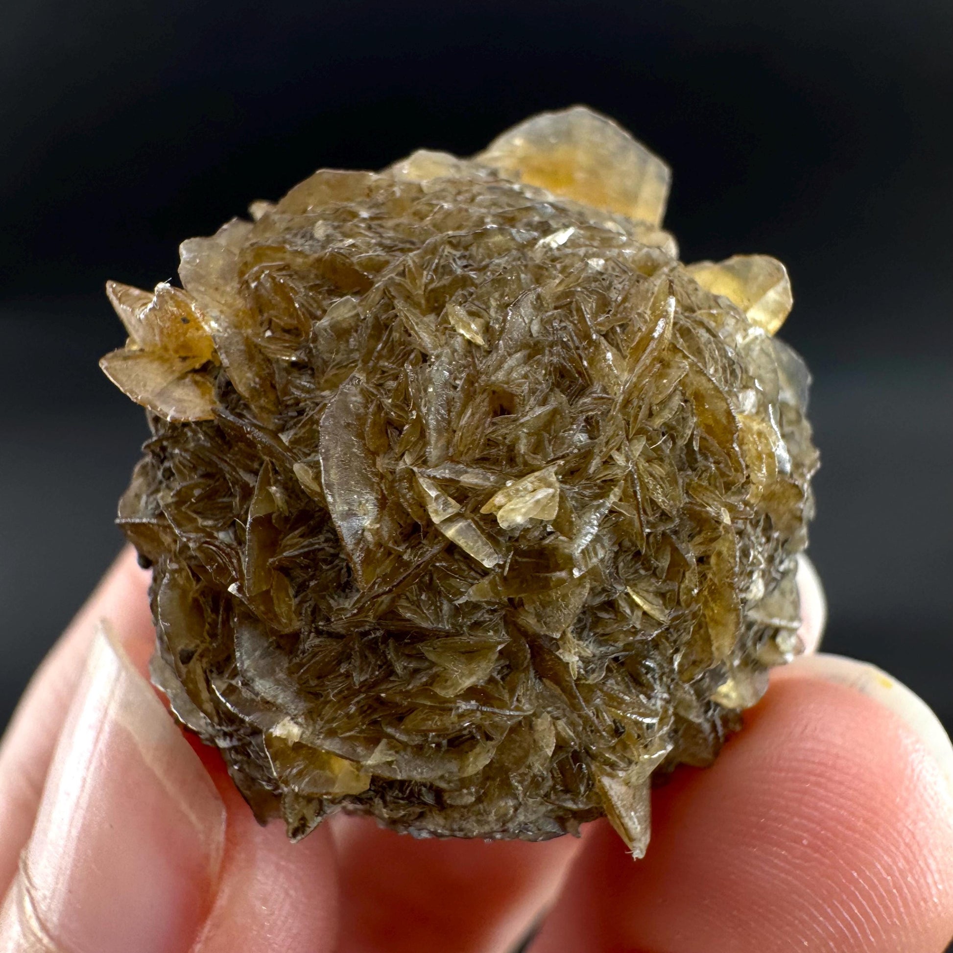 Golden Selenite Rosette | Fluorescent UV Reactive Gypsum Crystal
