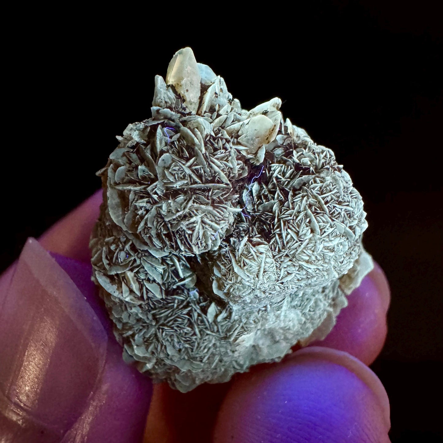 Golden Selenite Rosette | Fluorescent UV Reactive Gypsum Crystal