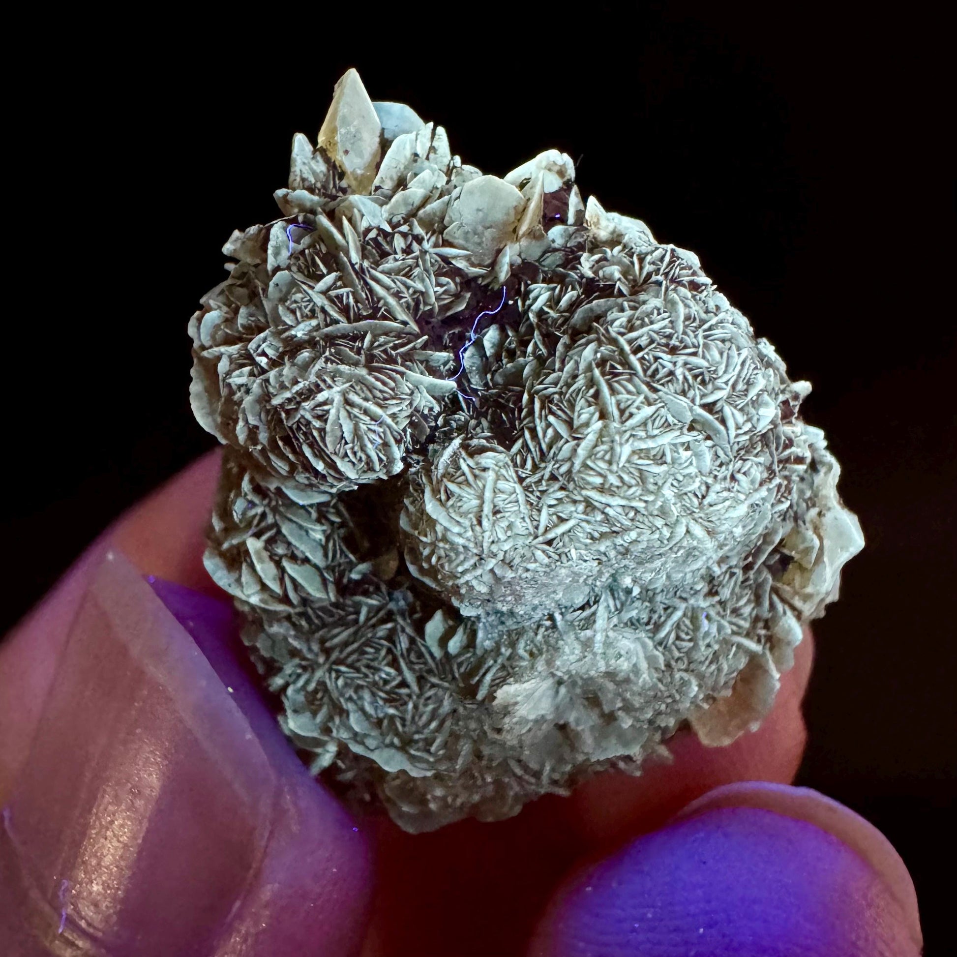 Golden Selenite Rosette | Fluorescent UV Reactive Gypsum Crystal