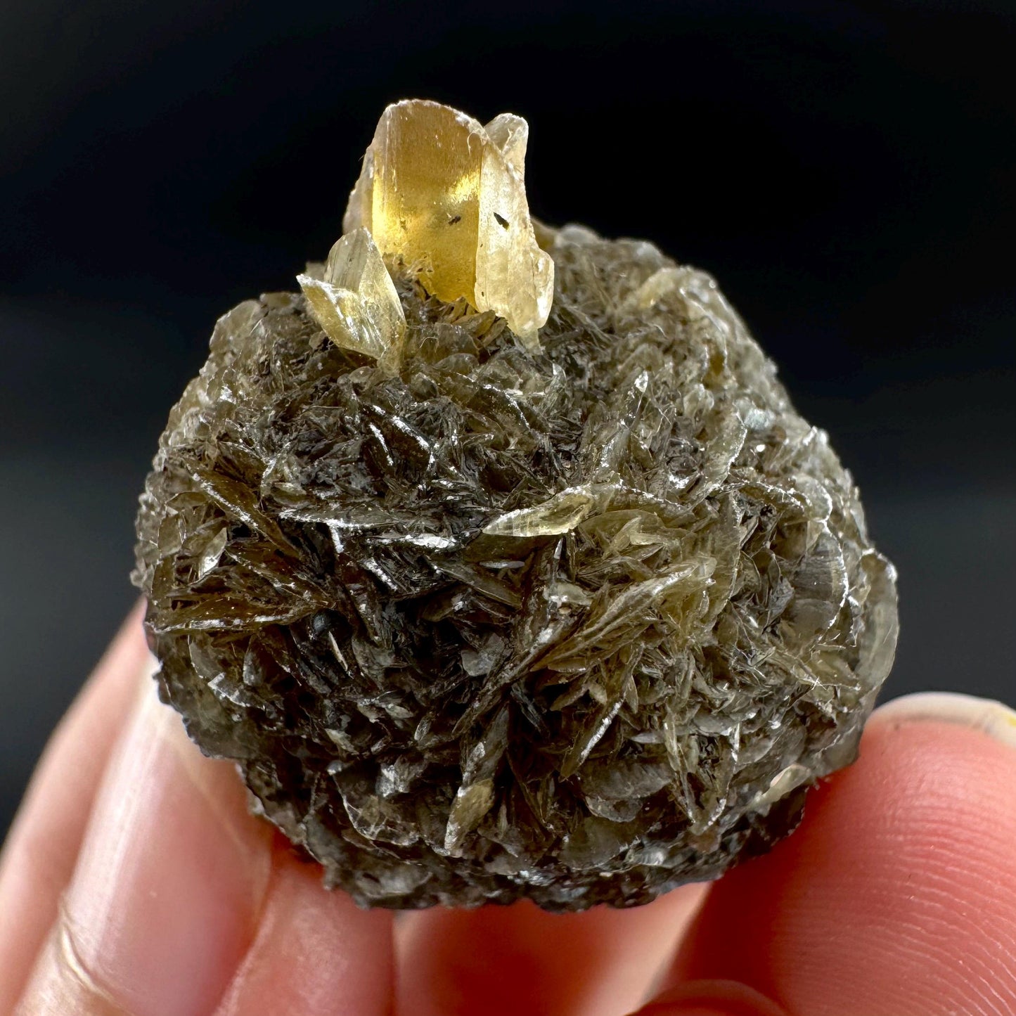 Golden Selenite Rosette | Fluorescent UV Reactive Gypsum Crystal
