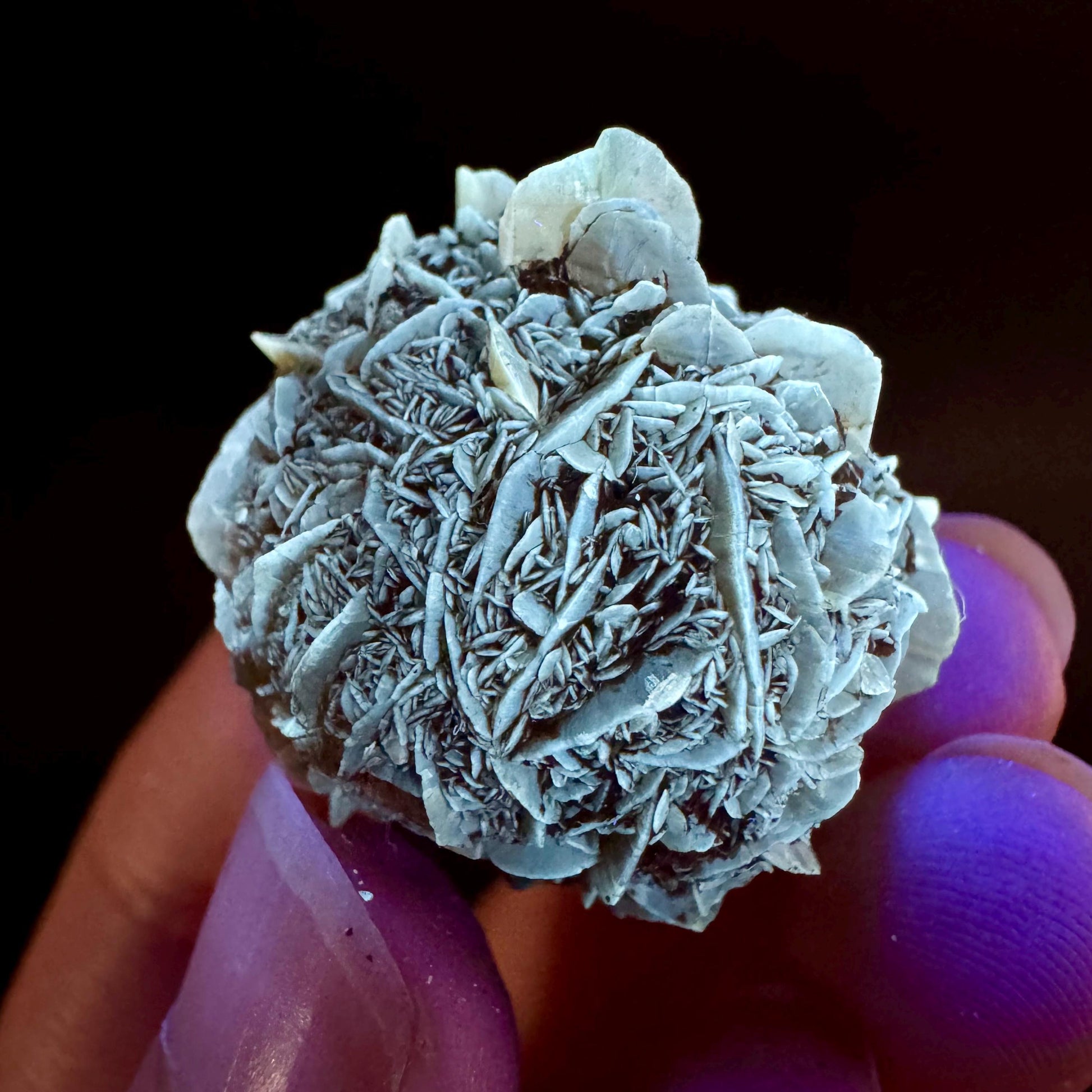 Golden Selenite Rosette | Fluorescent UV Reactive Gypsum Crystal