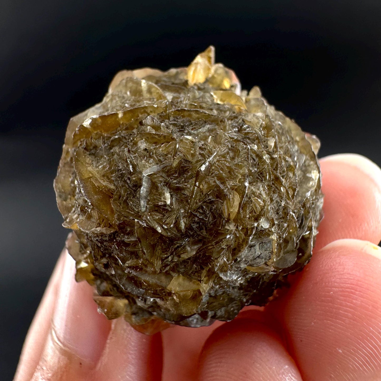 Golden Selenite Rosette | Fluorescent UV Reactive Gypsum Crystal
