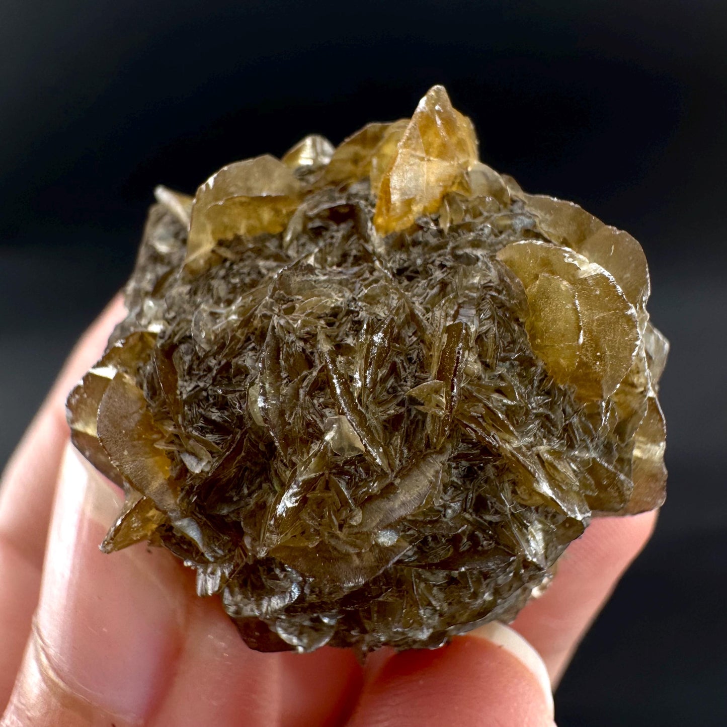 Golden Selenite Rosette | Fluorescent UV Reactive Gypsum Crystal