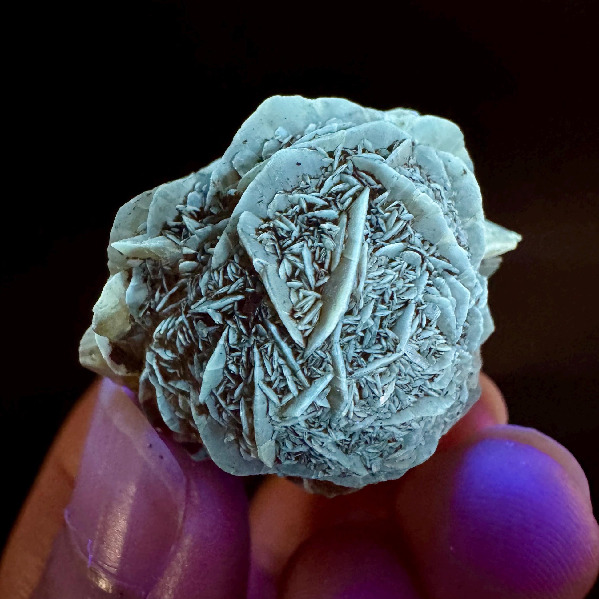 Golden Selenite Rosette | Fluorescent UV Reactive Gypsum Crystal