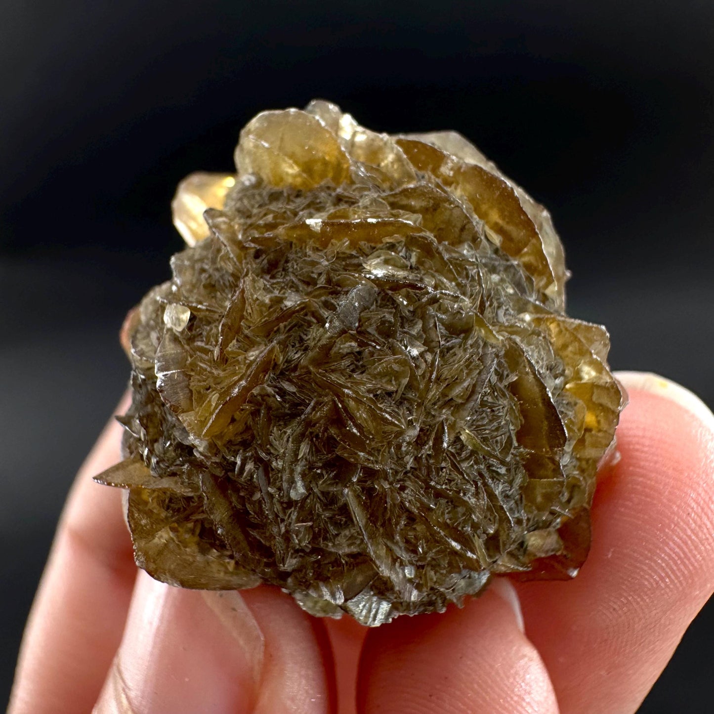 Golden Selenite Rosette | Fluorescent UV Reactive Gypsum Crystal