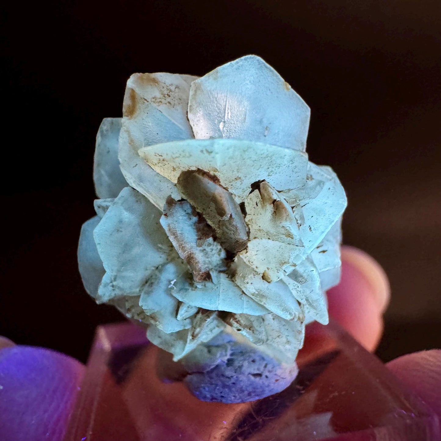 Golden Selenite Rosette | Fluorescent UV Reactive Gypsum Crystal