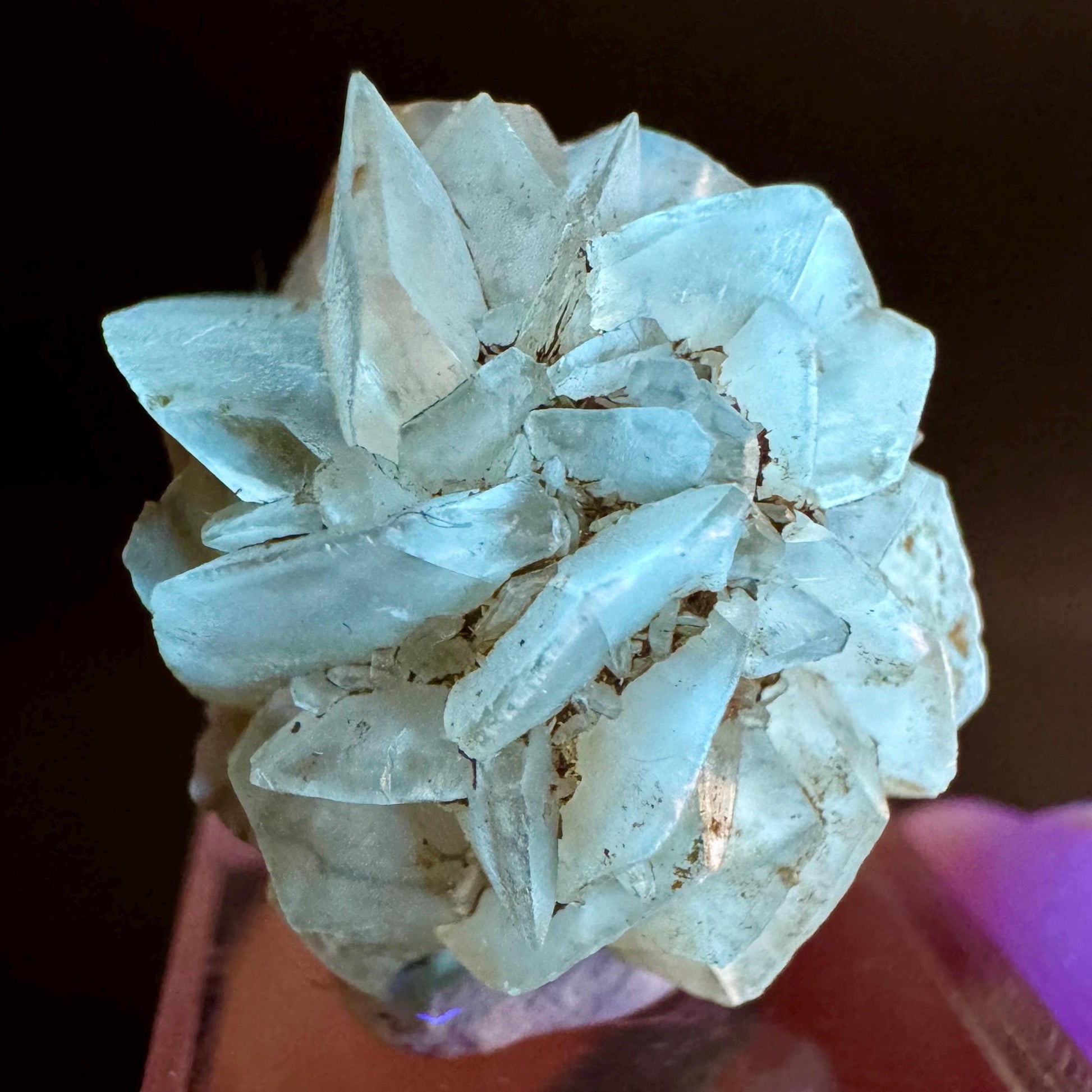 Golden Selenite Rosette | Fluorescent UV Reactive Gypsum Crystal