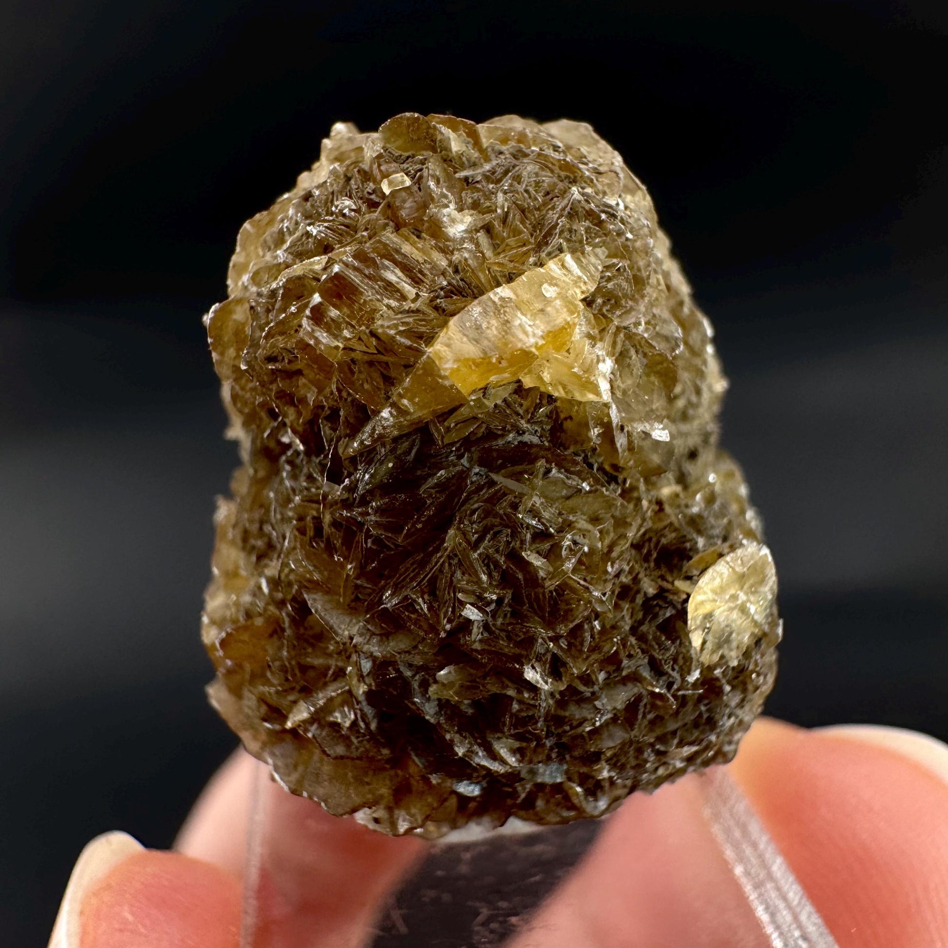 Golden Selenite Rosette | Fluorescent UV Reactive Gypsum Crystal