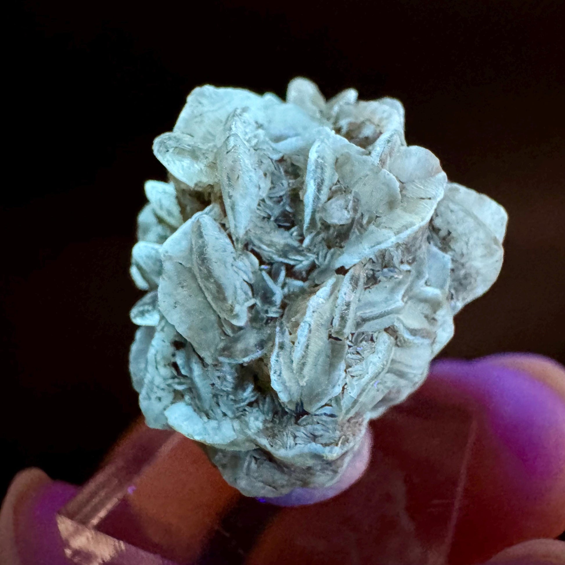 Golden Selenite Rosette | Fluorescent UV Reactive Gypsum Crystal