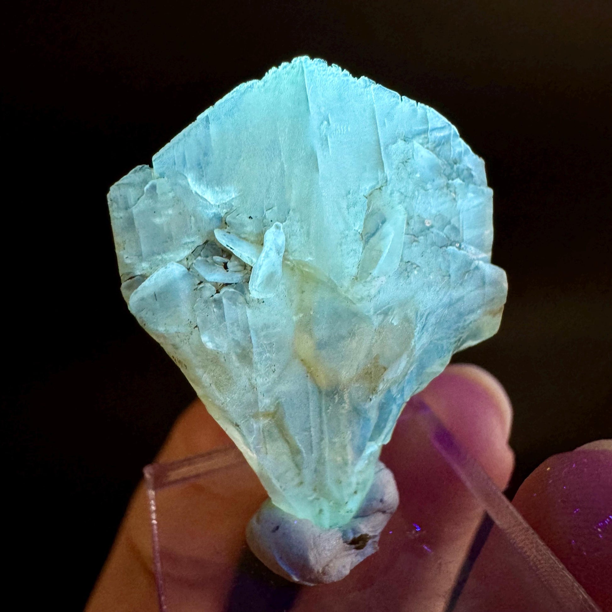 Golden Selenite Blade | Fluorescent UV Reactive Gypsum Crystal