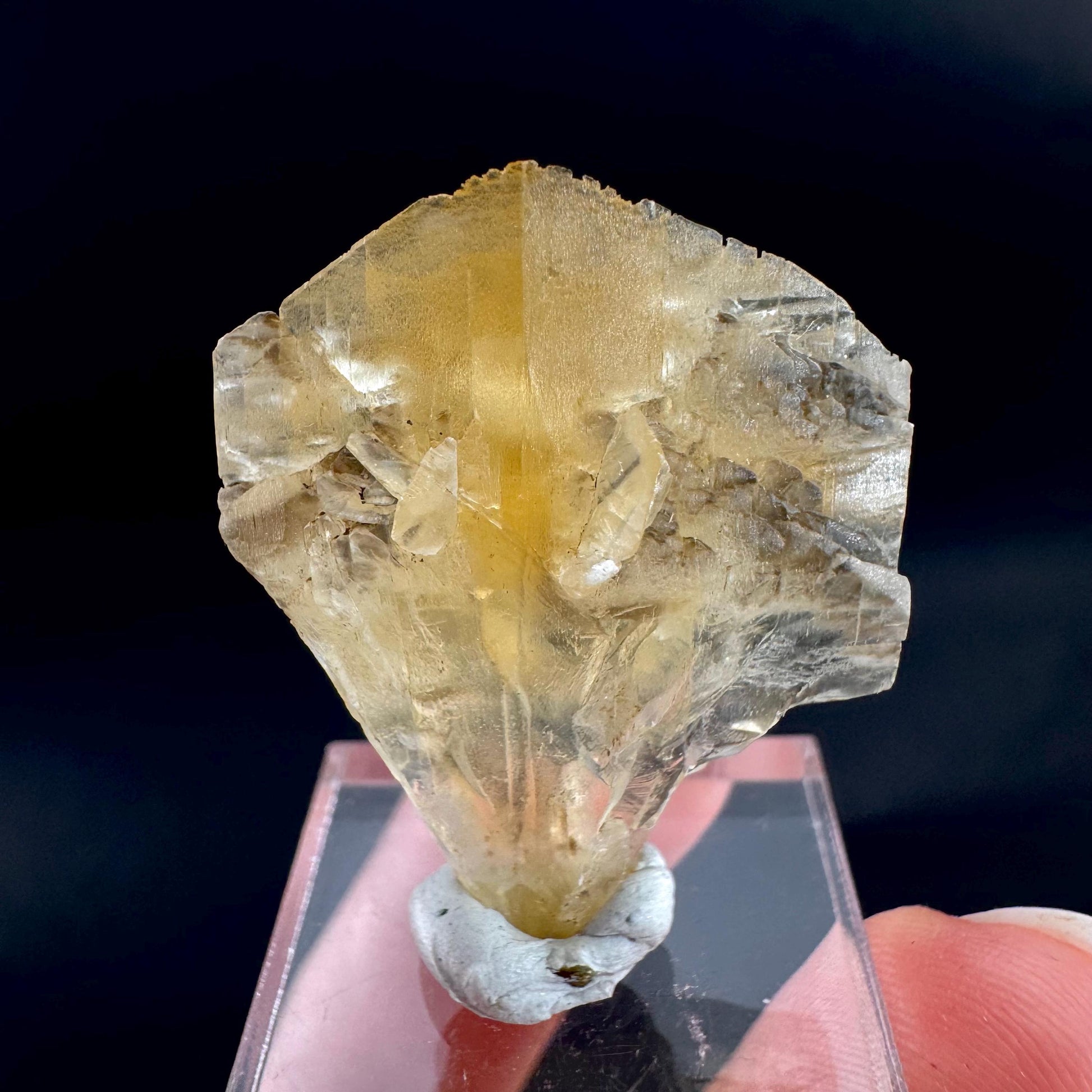 Golden Selenite Blade | Fluorescent UV Reactive Gypsum Crystal