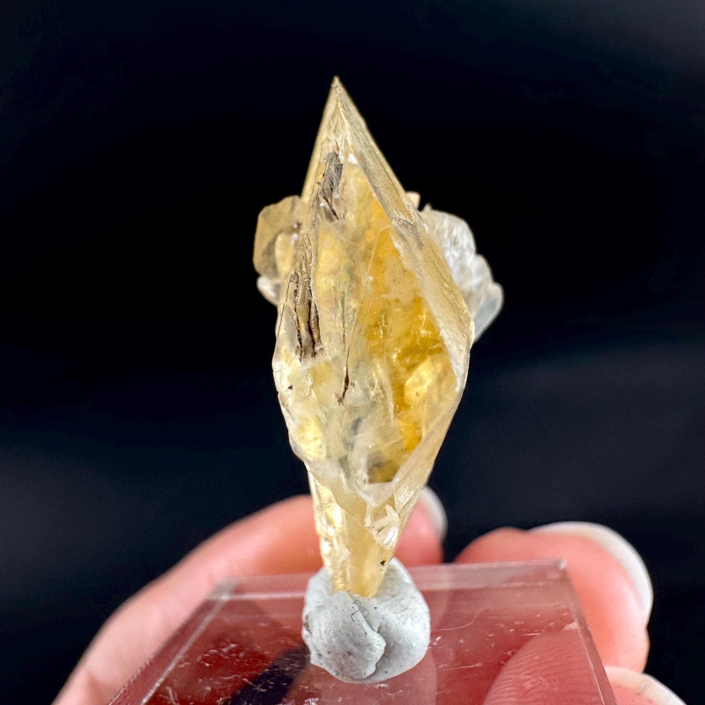 Golden Selenite Blade | Fluorescent UV Reactive Gypsum Crystal