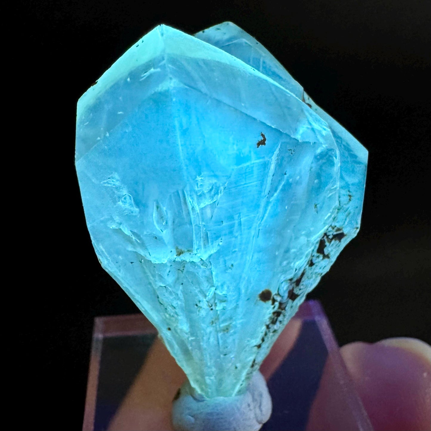 Golden Selenite Blade | Fluorescent UV Reactive Gypsum Crystal