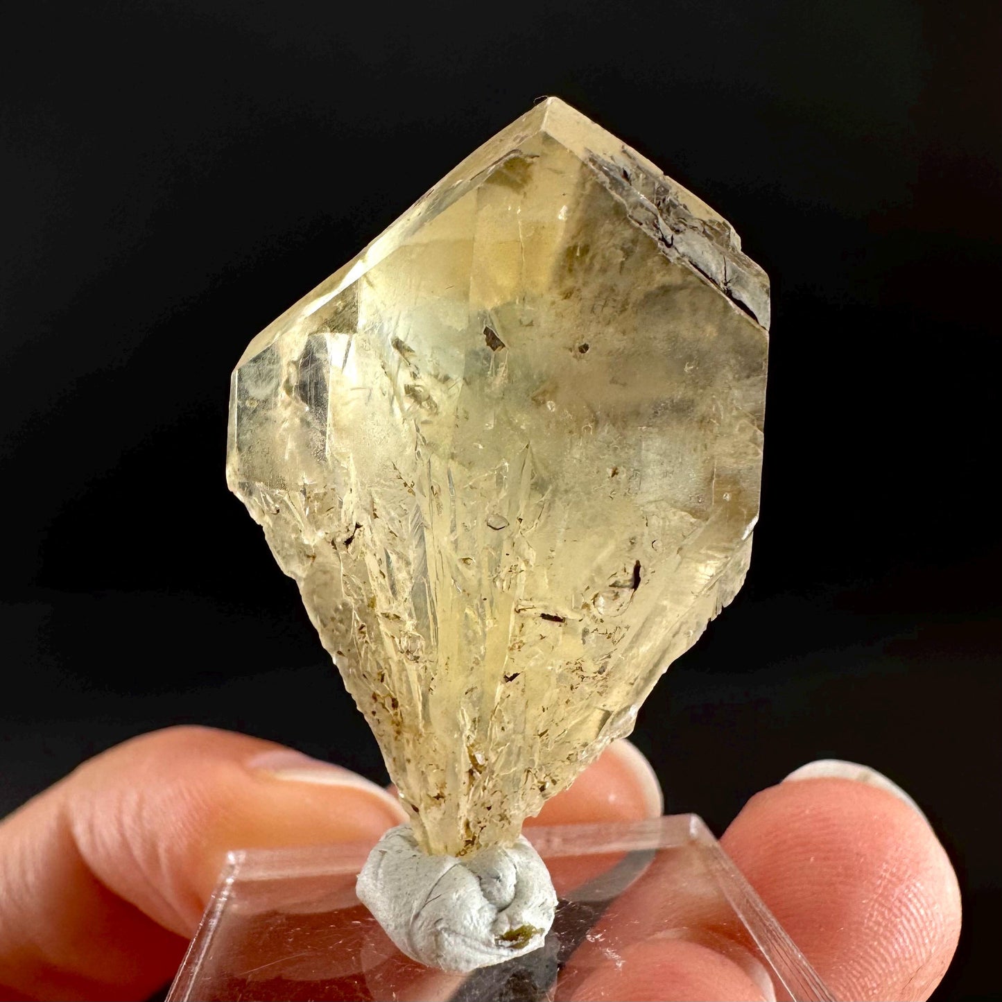 Golden Selenite Blade | Fluorescent UV Reactive Gypsum Crystal