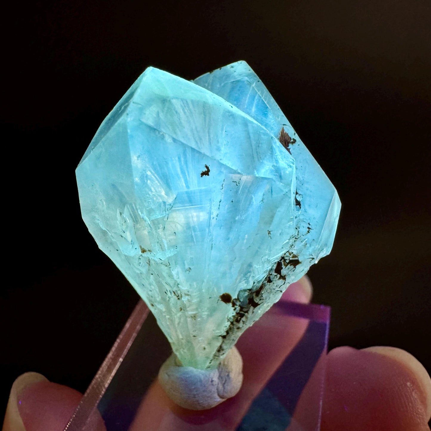 Golden Selenite Blade | Fluorescent UV Reactive Gypsum Crystal
