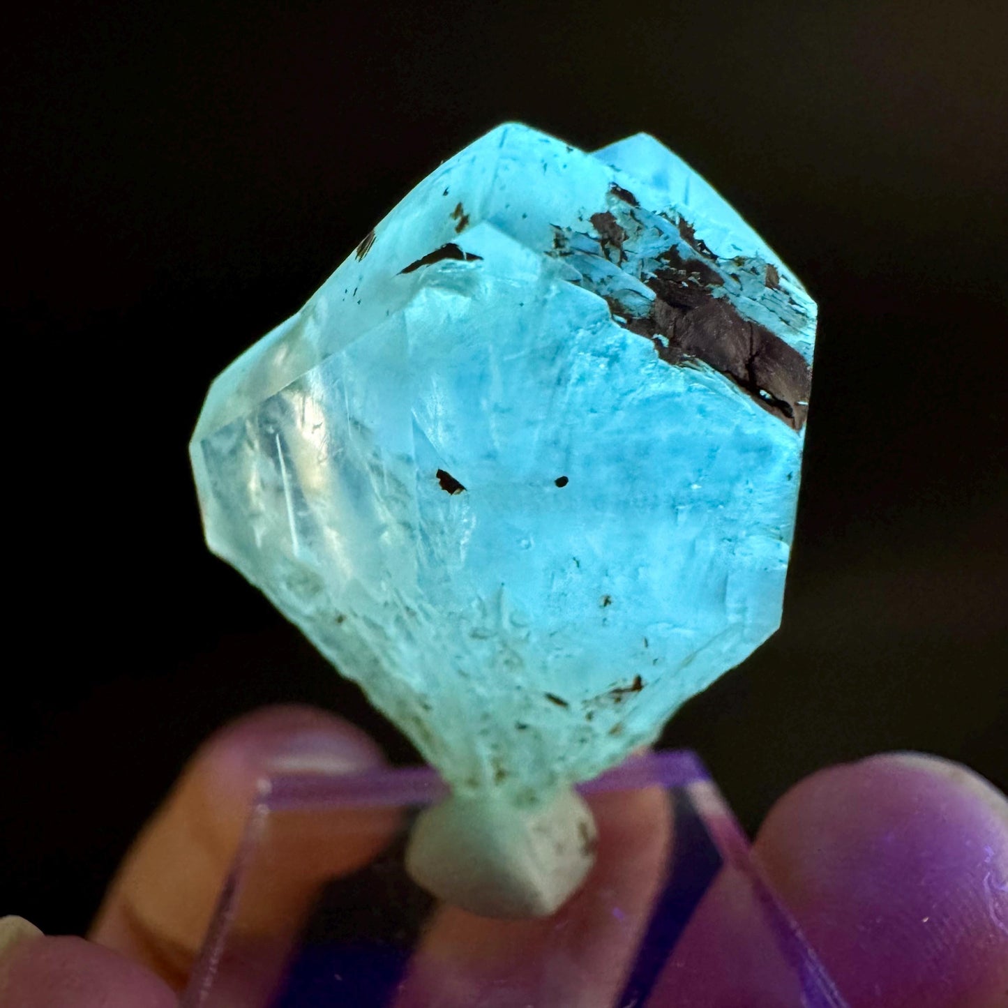 Golden Selenite Blade | Fluorescent UV Reactive Gypsum Crystal