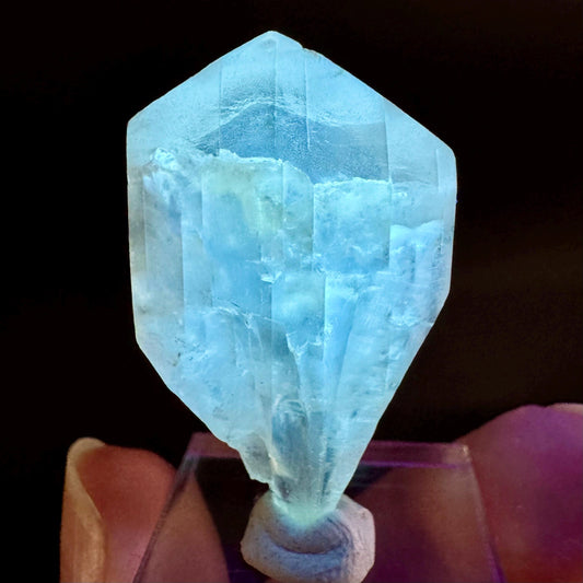 Golden Selenite Blade | Fluorescent UV Reactive Gypsum Crystal