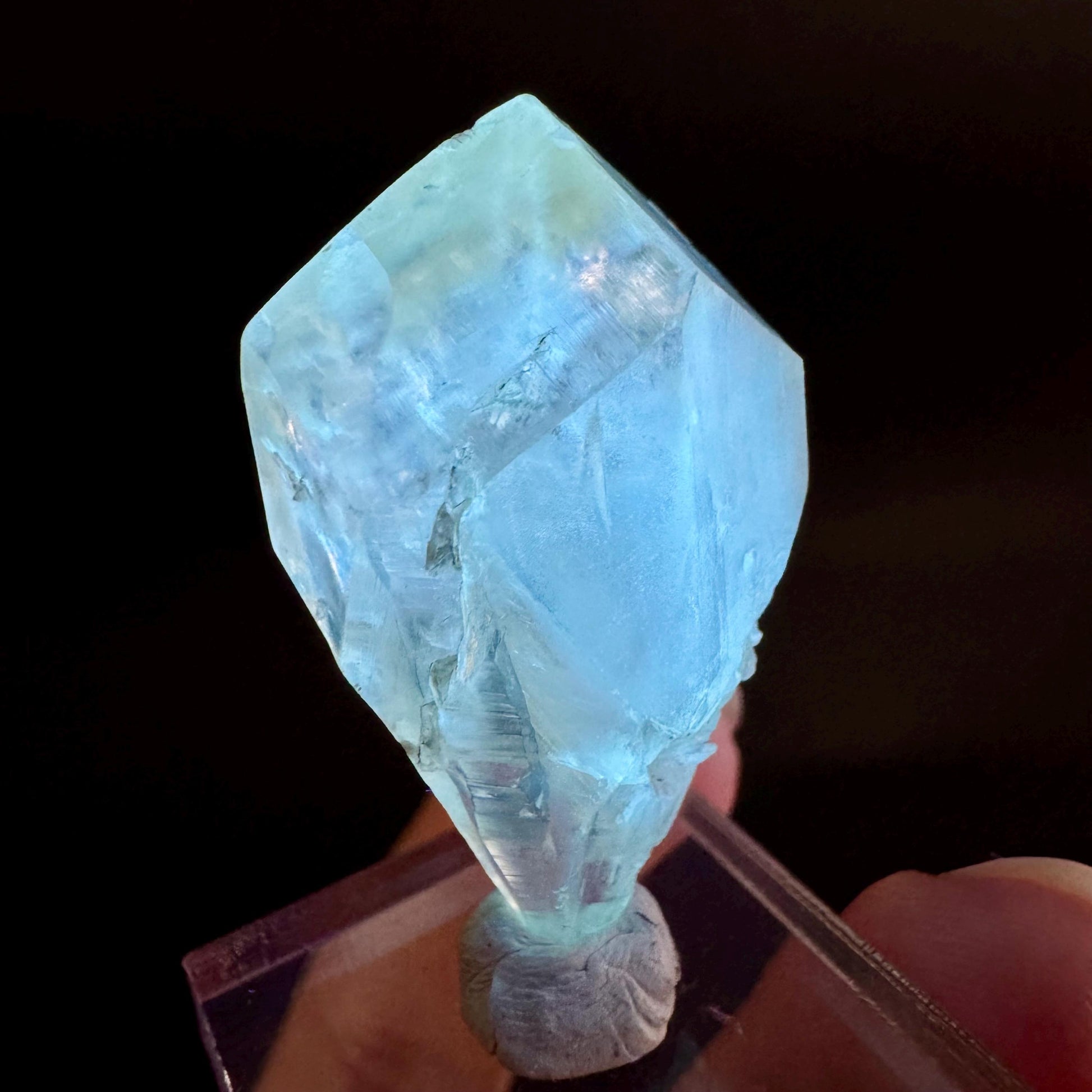 Golden Selenite Blade | Fluorescent UV Reactive Gypsum Crystal