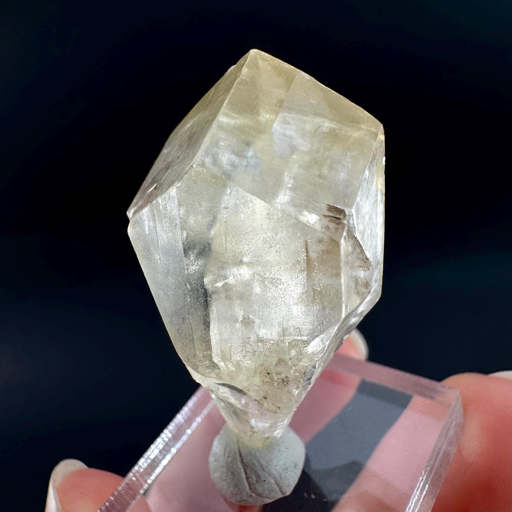 Golden Selenite Blade | Fluorescent UV Reactive Gypsum Crystal
