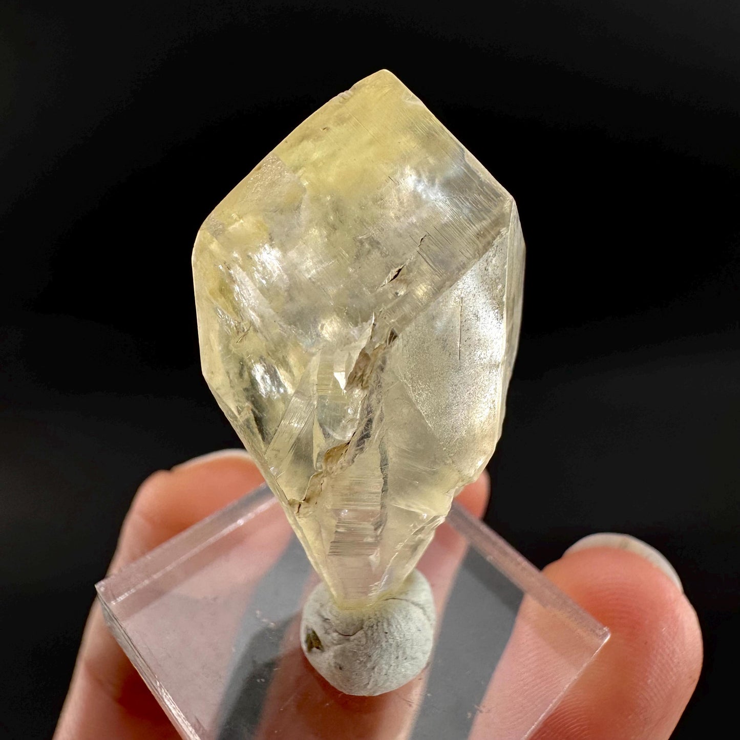 Golden Selenite Blade | Fluorescent UV Reactive Gypsum Crystal