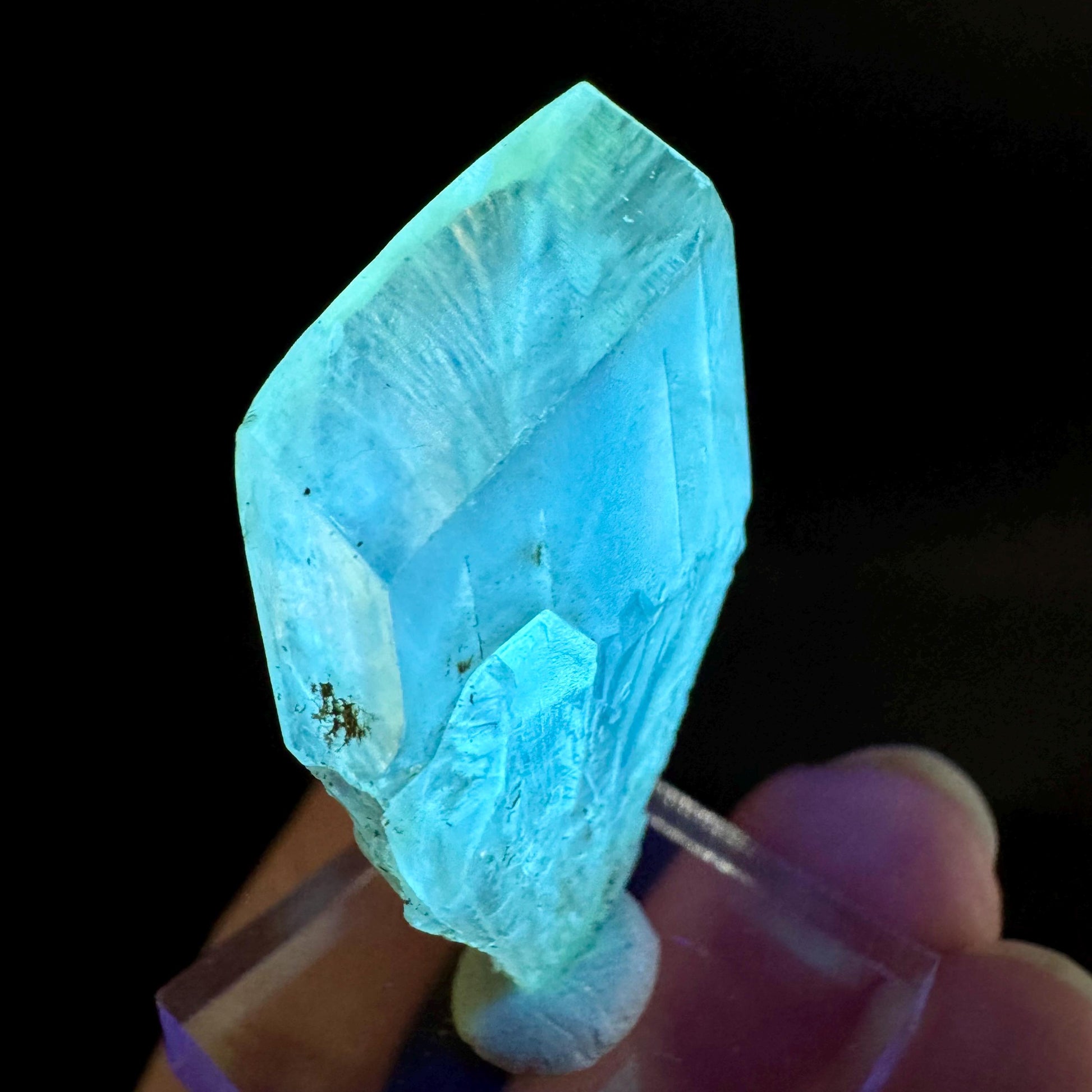 Golden Selenite Blade | Fluorescent UV Reactive Gypsum Crystal