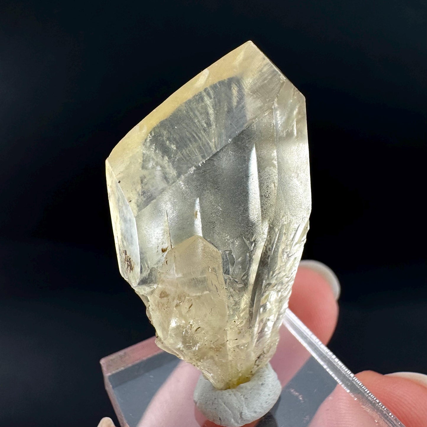 Golden Selenite Blade | Fluorescent UV Reactive Gypsum Crystal