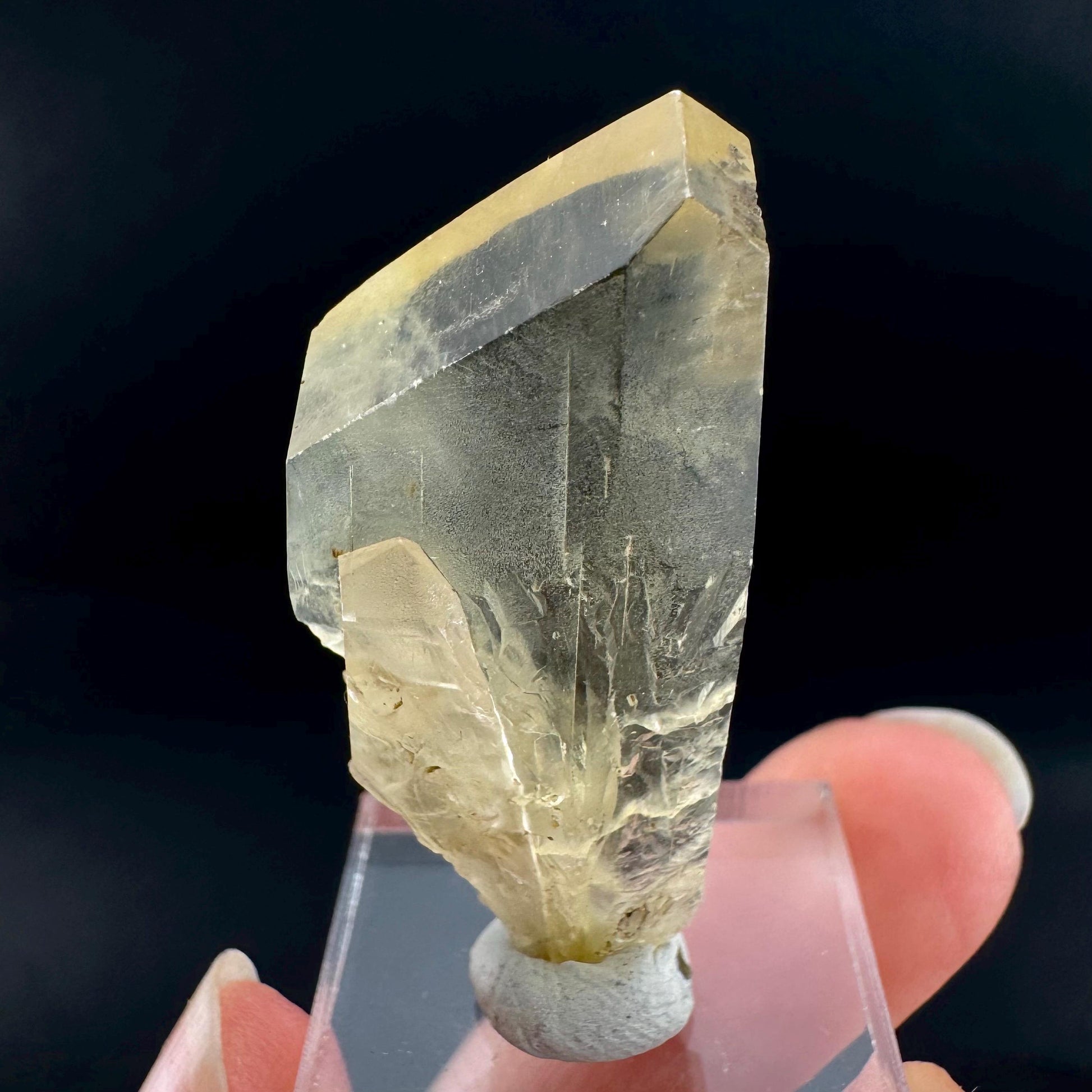 Golden Selenite Blade | Fluorescent UV Reactive Gypsum Crystal