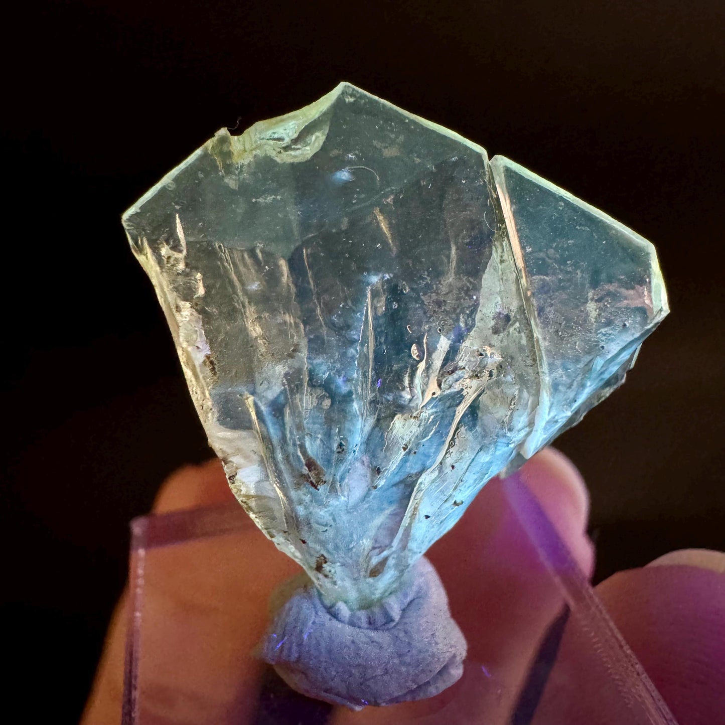 Golden Selenite Blade | Fluorescent UV Reactive Gypsum Crystal