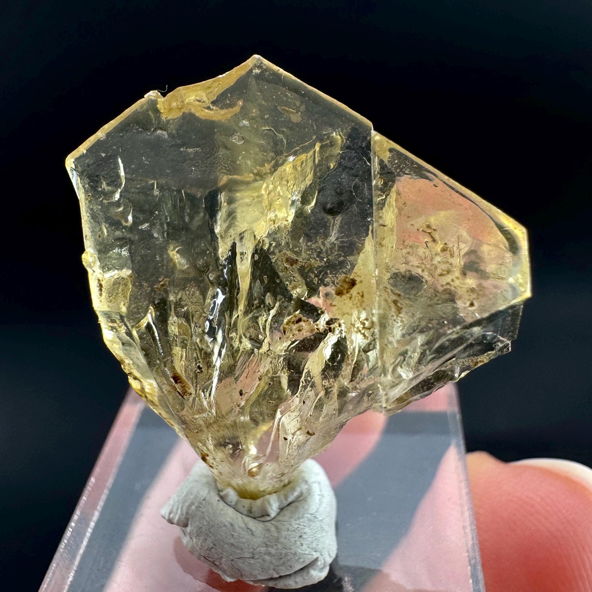 Golden Selenite Blade | Fluorescent UV Reactive Gypsum Crystal
