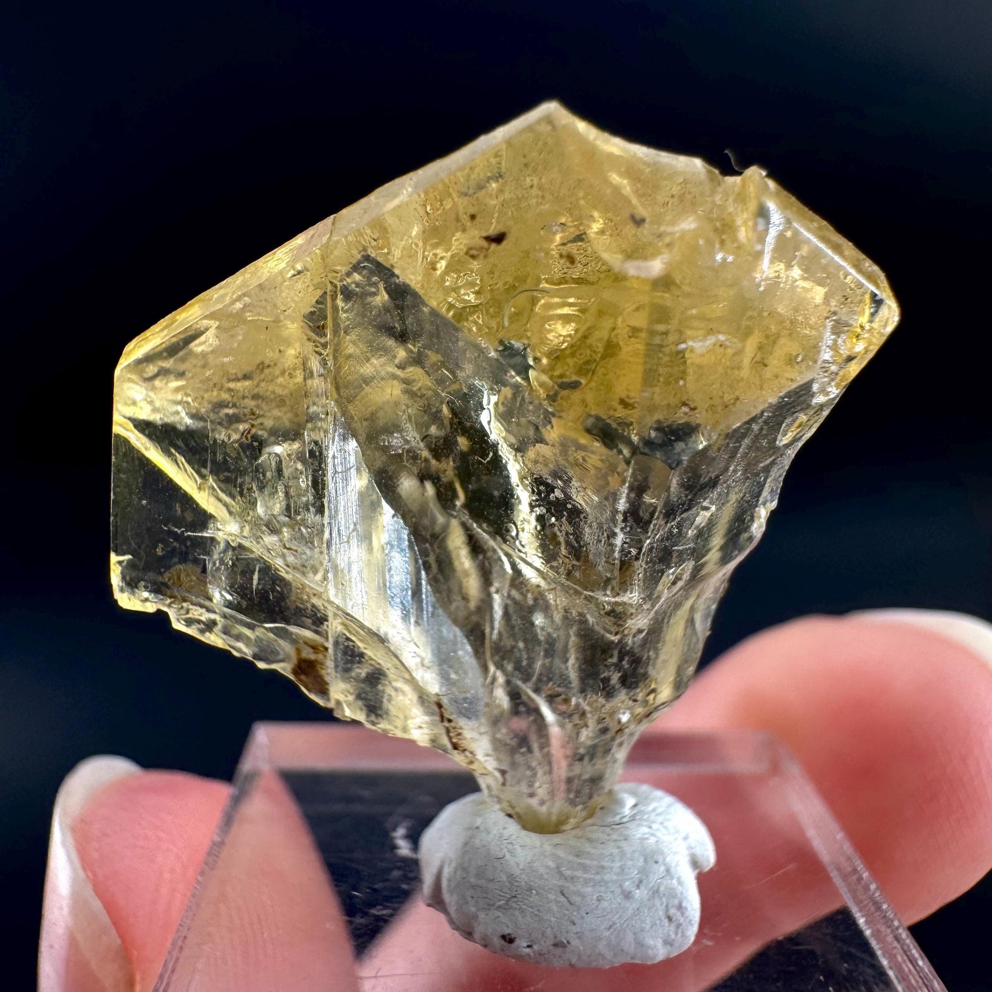 Golden Selenite Blade | Fluorescent UV Reactive Gypsum Crystal