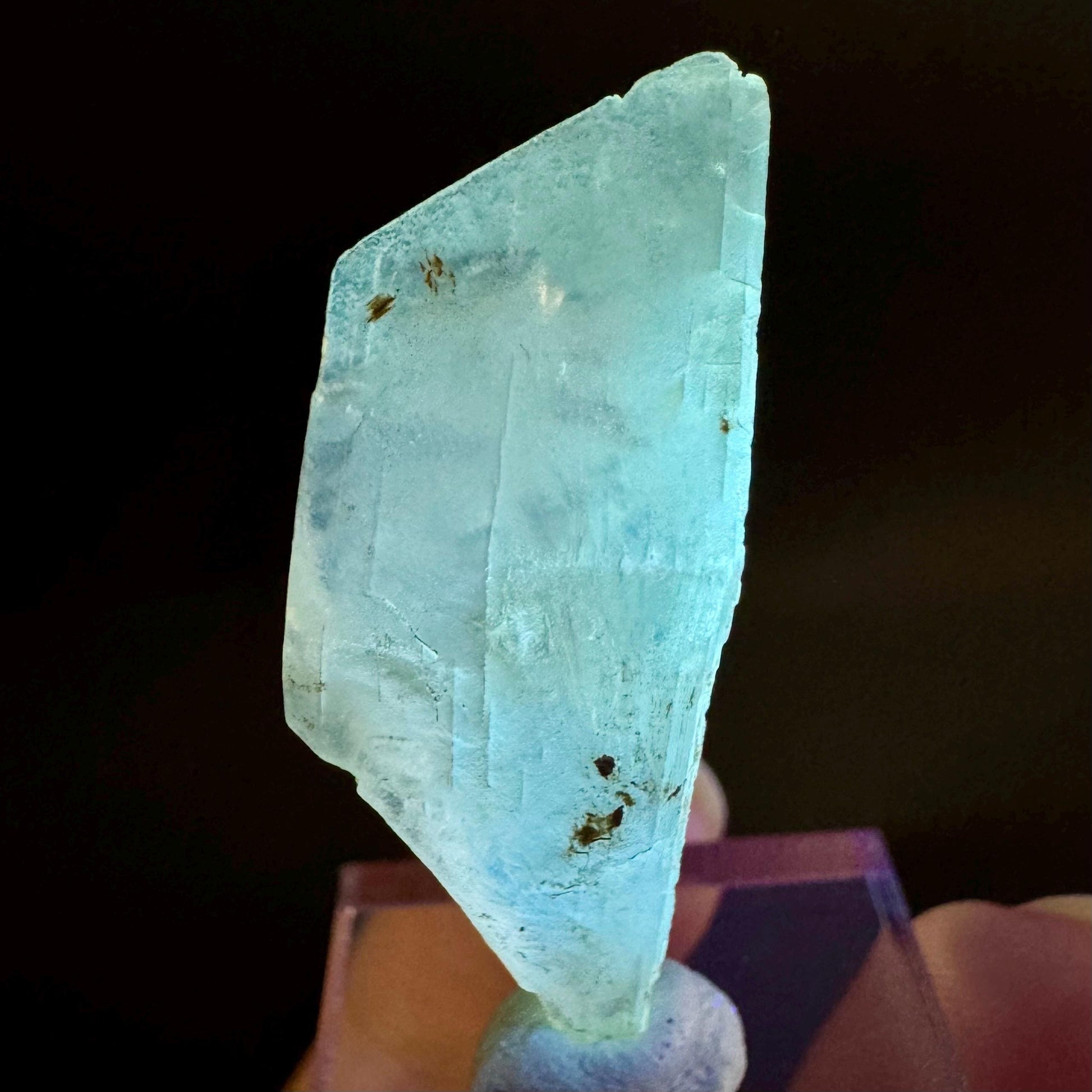 Golden Selenite Blade | Fluorescent UV Reactive Gypsum Crystal