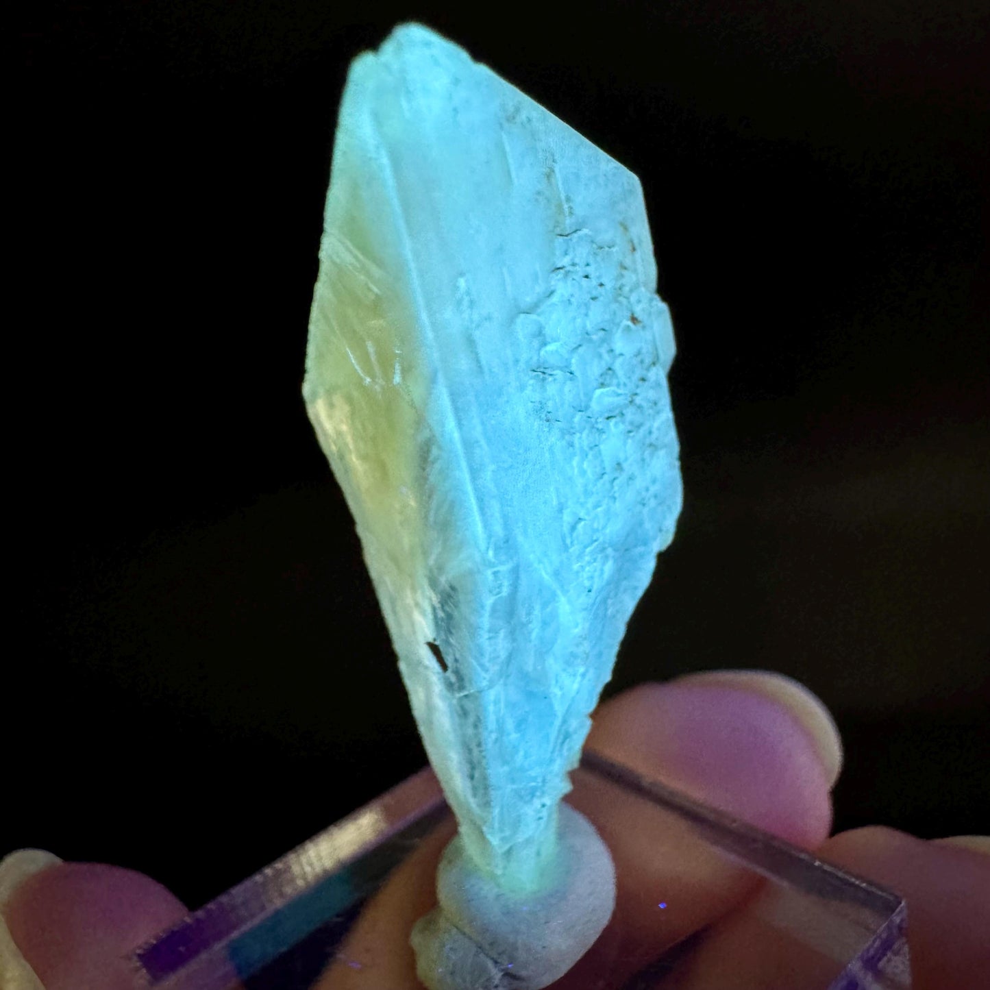 Golden Selenite Blade | Fluorescent UV Reactive Gypsum Crystal