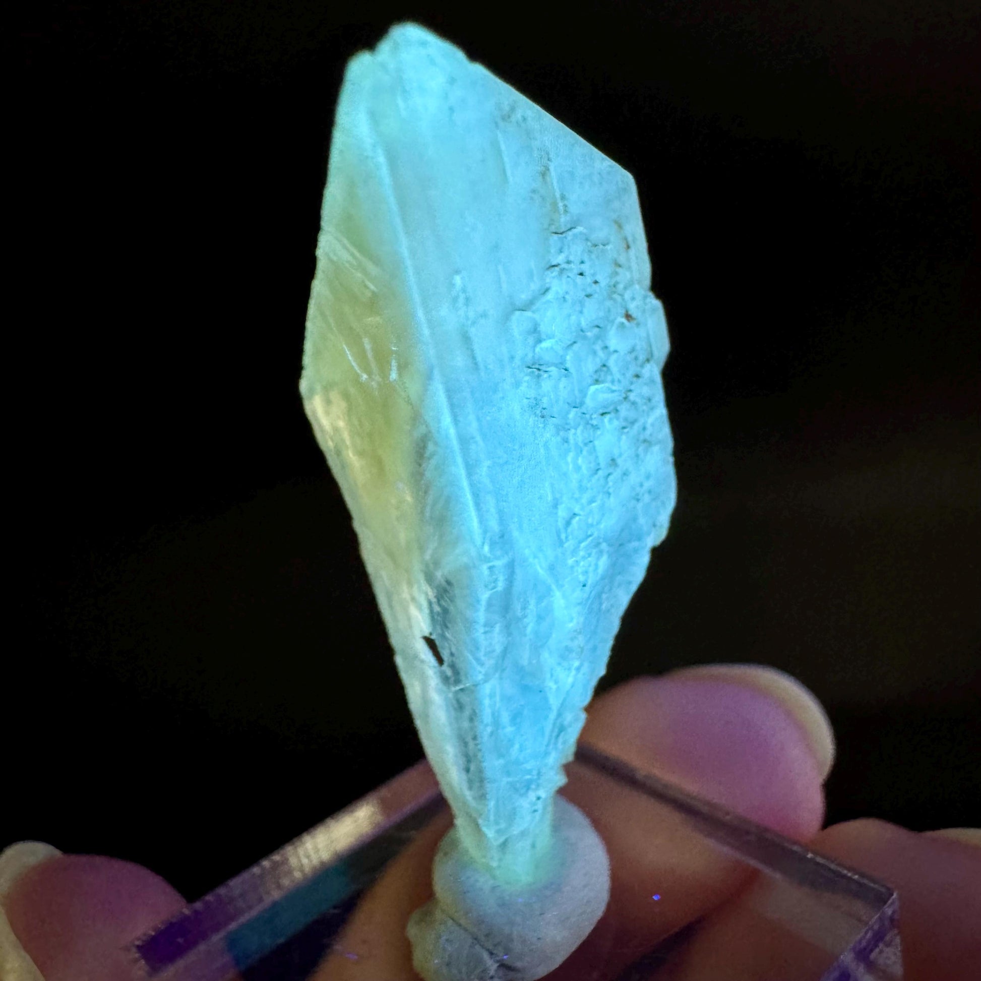 Golden Selenite Blade | Fluorescent UV Reactive Gypsum Crystal
