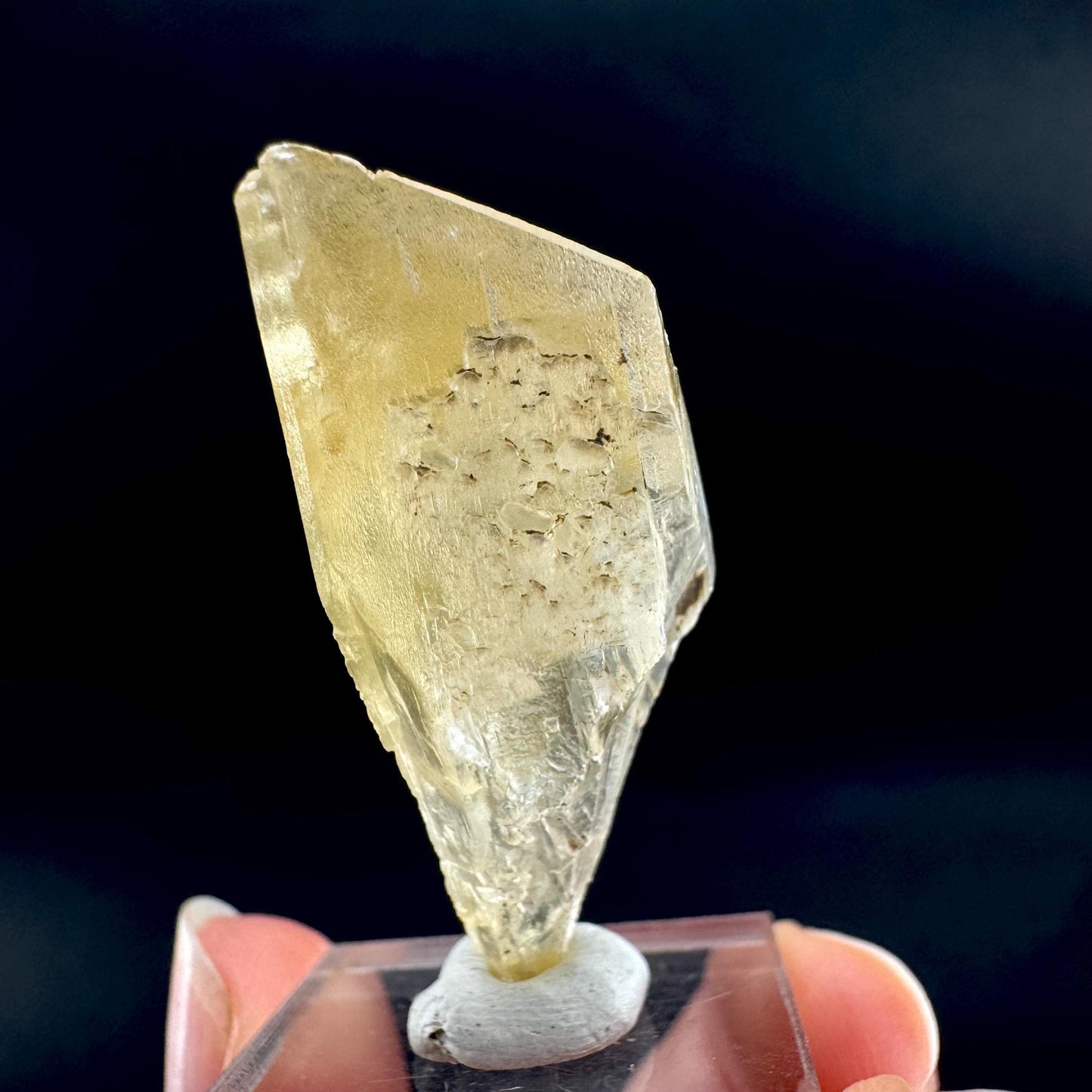 Golden Selenite Blade | Fluorescent UV Reactive Gypsum Crystal