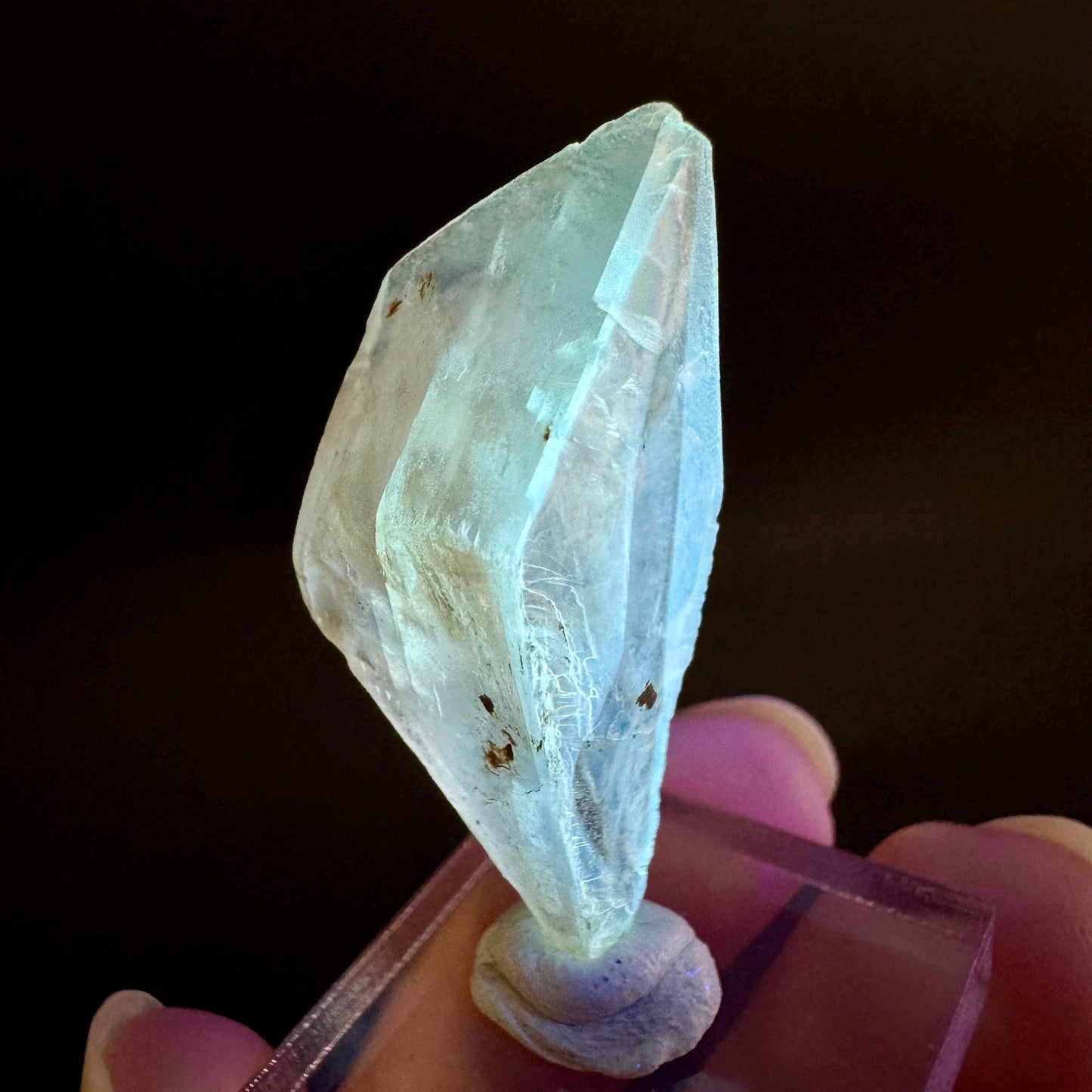 Golden Selenite Blade | Fluorescent UV Reactive Gypsum Crystal