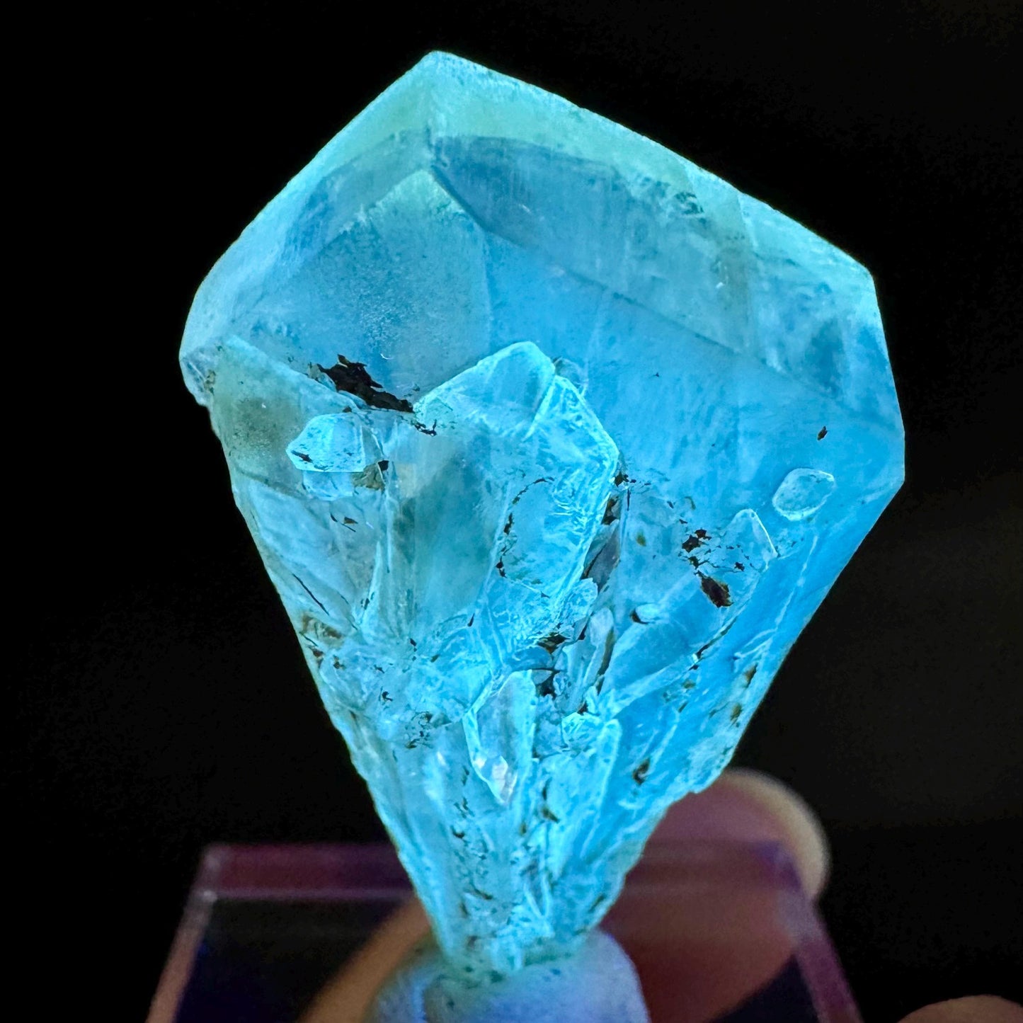 Golden Selenite Blade | Fluorescent UV Reactive Gypsum Crystal