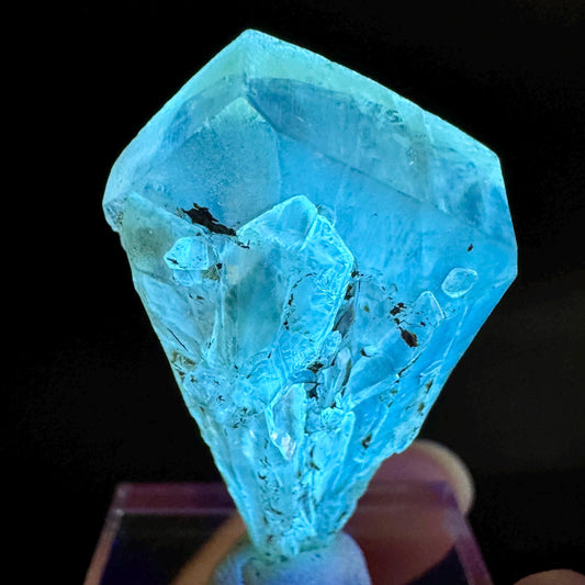 Golden Selenite Blade | Fluorescent UV Reactive Gypsum Crystal
