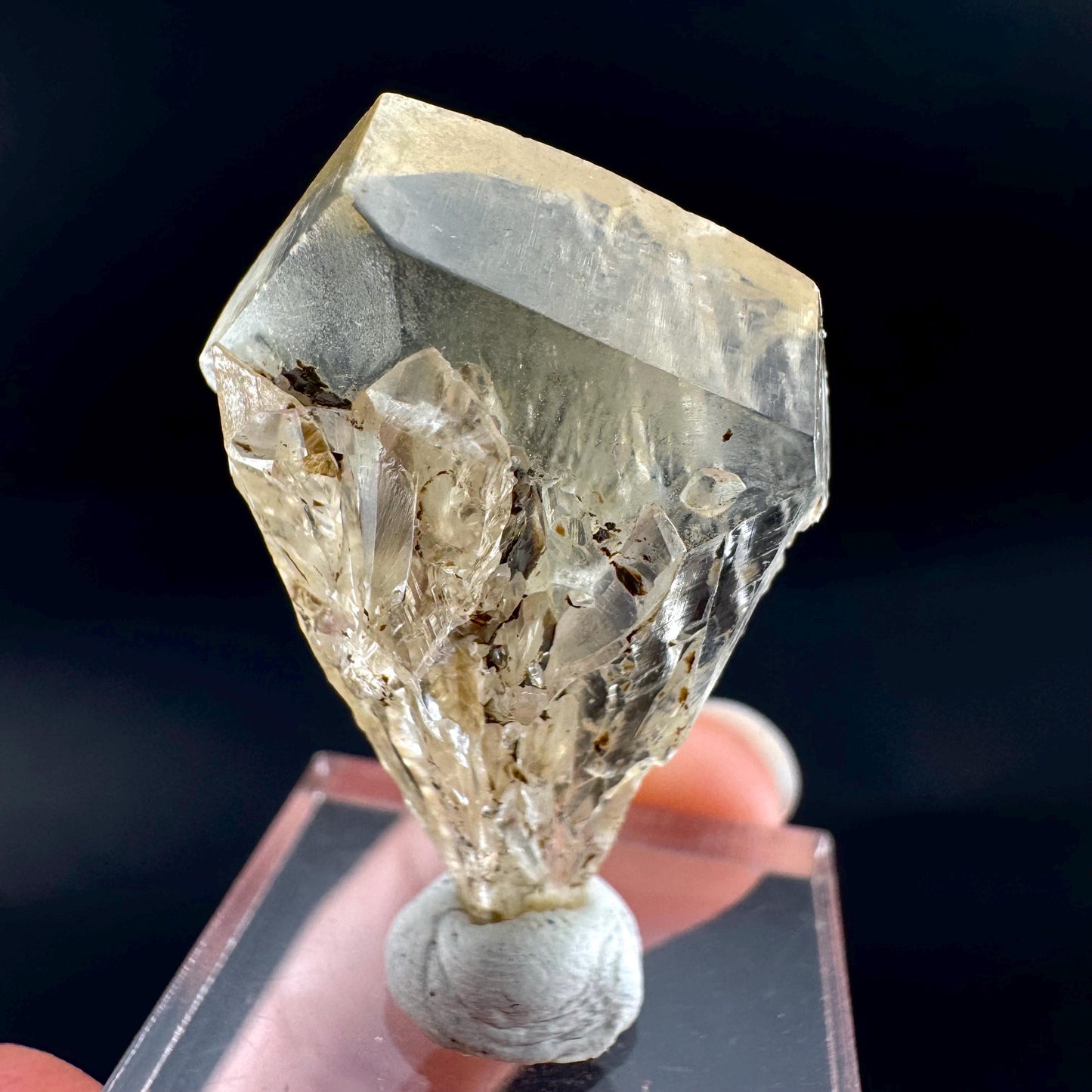 Golden Selenite Blade | Fluorescent UV Reactive Gypsum Crystal