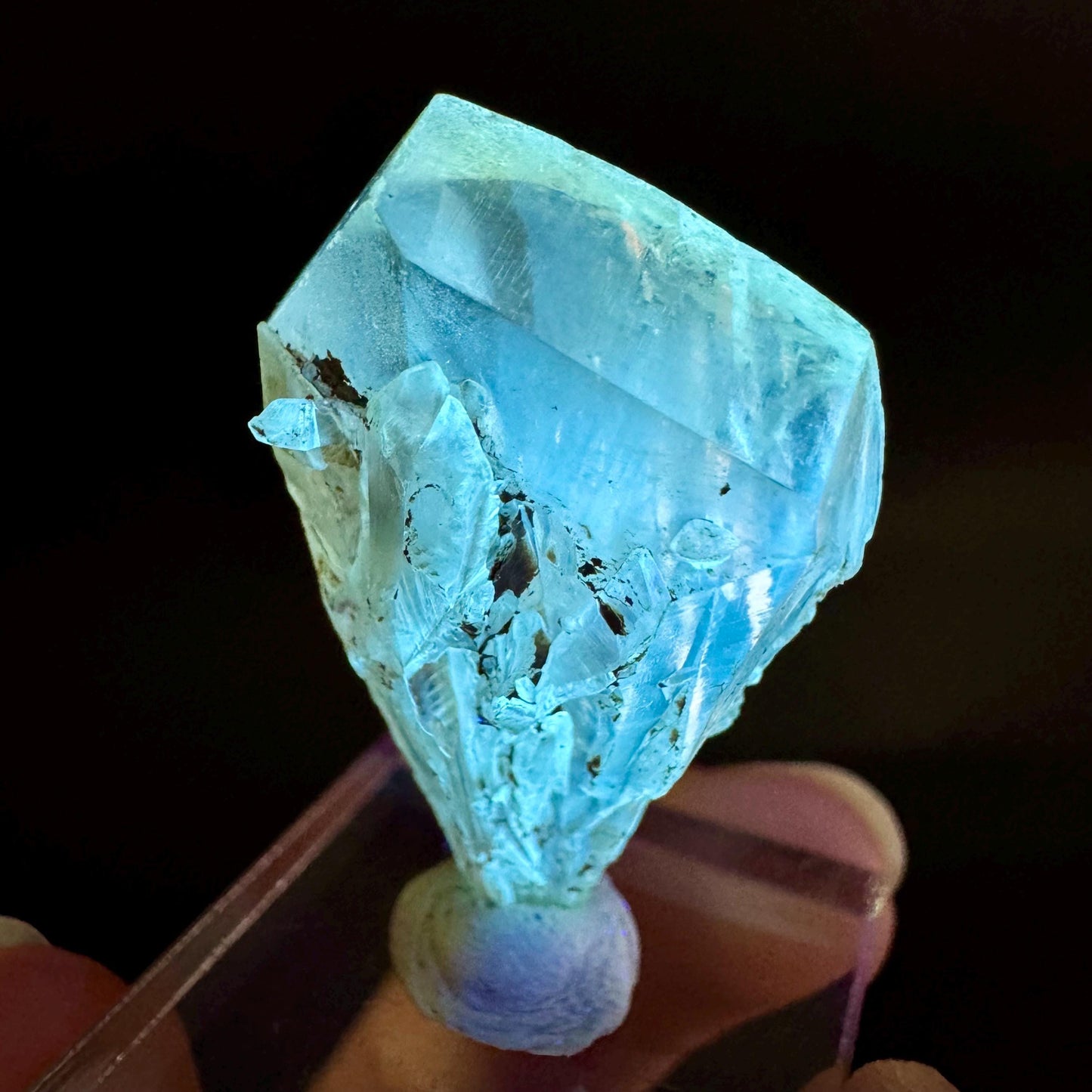 Golden Selenite Blade | Fluorescent UV Reactive Gypsum Crystal