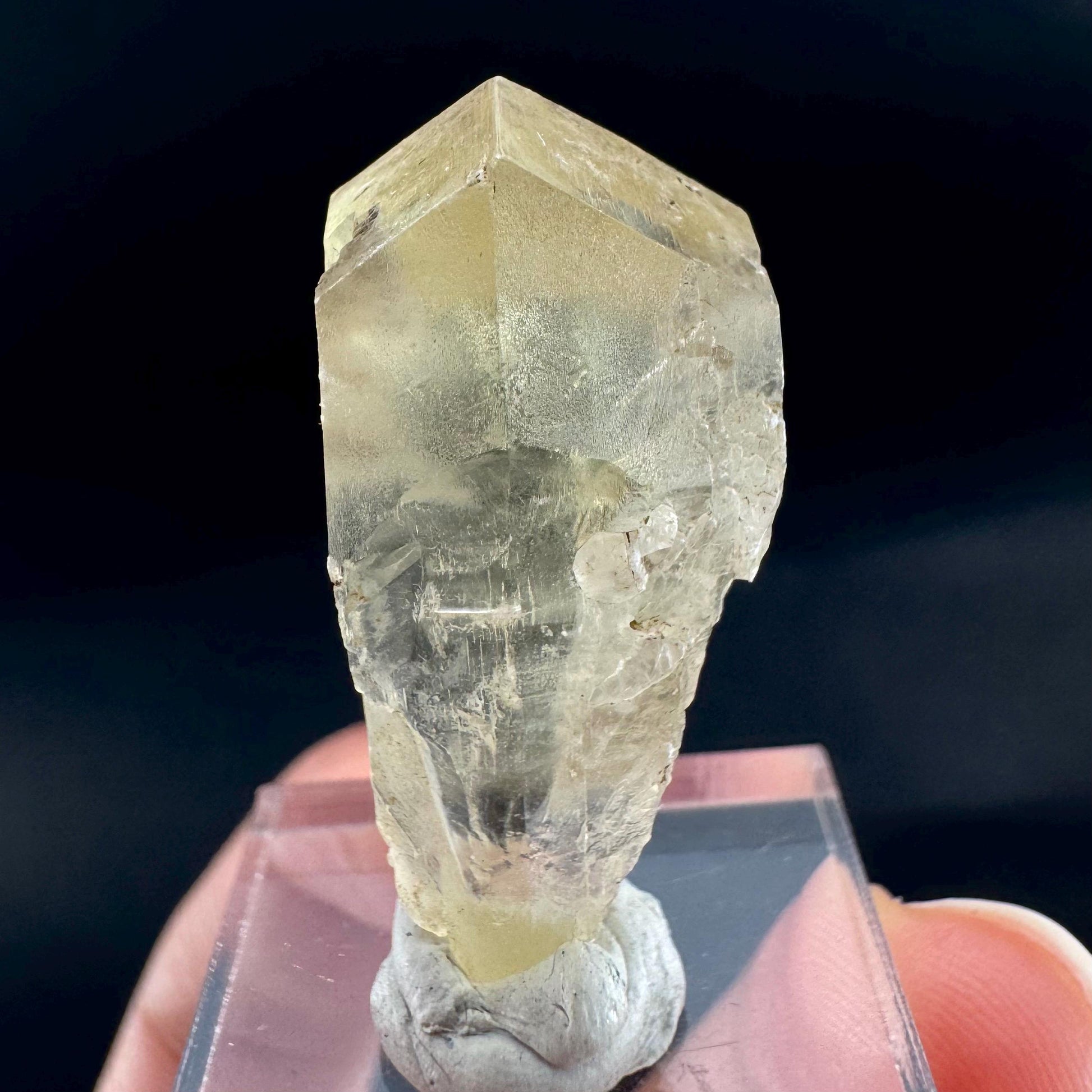 Golden Selenite Blade | Fluorescent UV Reactive Gypsum Crystal