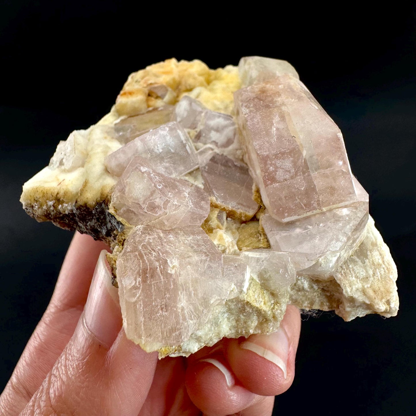 Pink Fluorapatite on Albite | UV reactive crystal, rare mineral specimen from Pakistan