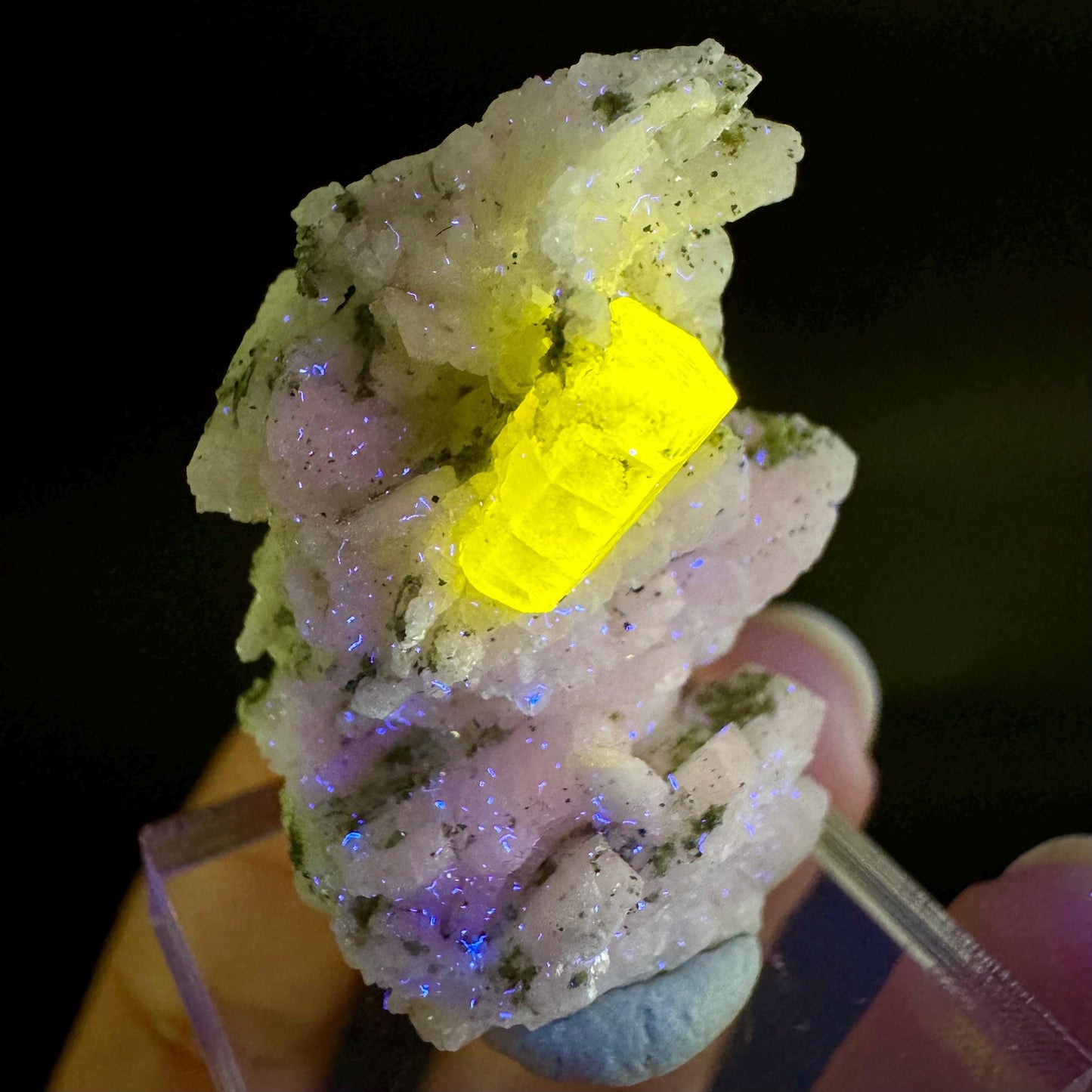 Pink Fluorapatite on Albite | UV reactive crystal, rare mineral specimen from Pakistan