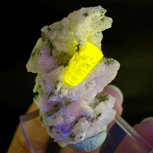 Pink Fluorapatite on Albite | UV reactive crystal, rare mineral specimen from Pakistan