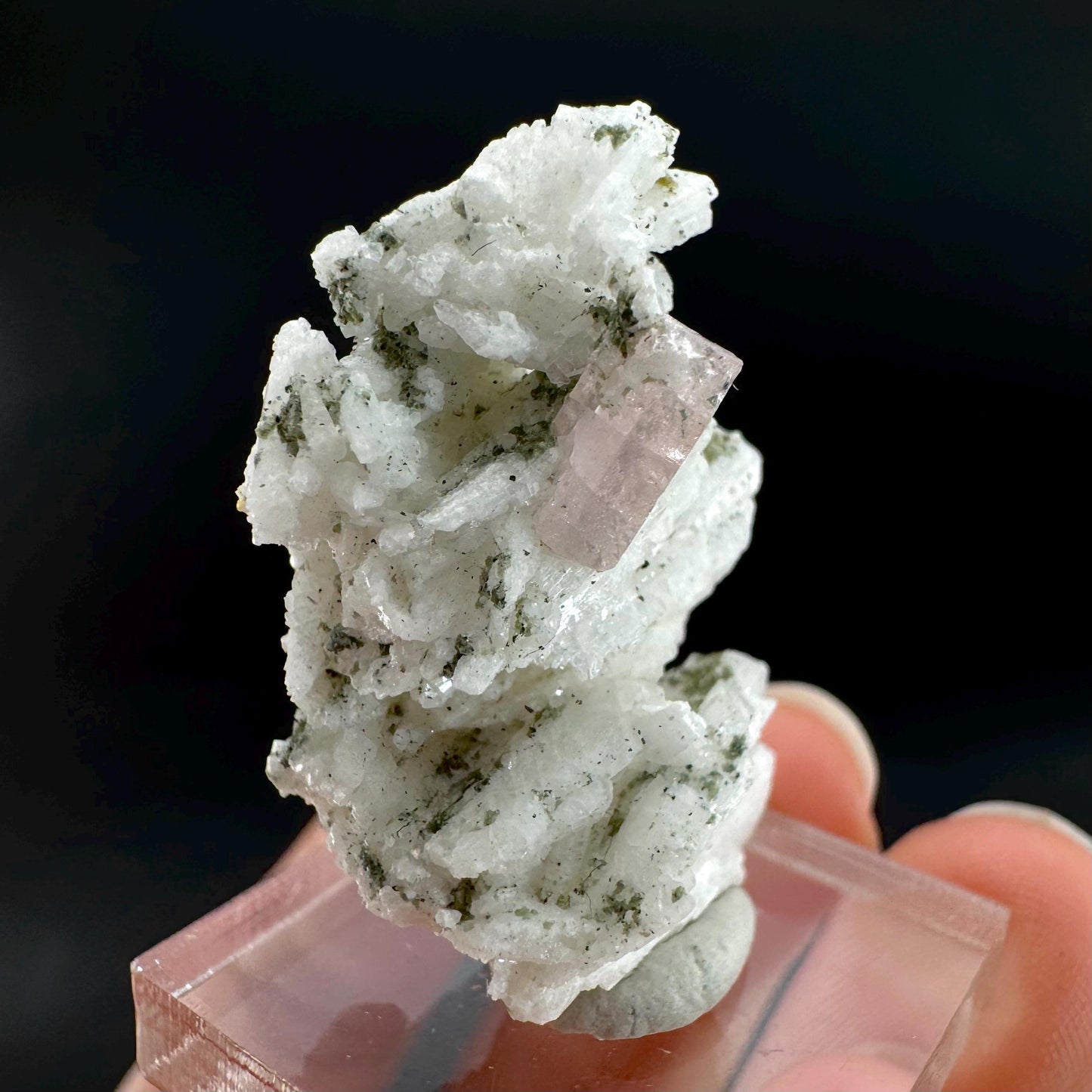 Pink Fluorapatite on Albite | UV reactive crystal, rare mineral specimen from Pakistan