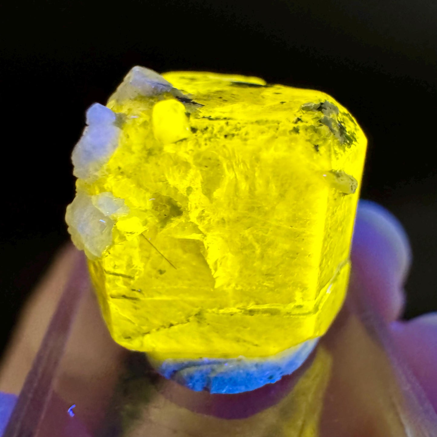 Pink Fluorapatite with Black Tourmaline | UV reactive crystal, rare mineral specimen from Pakistan