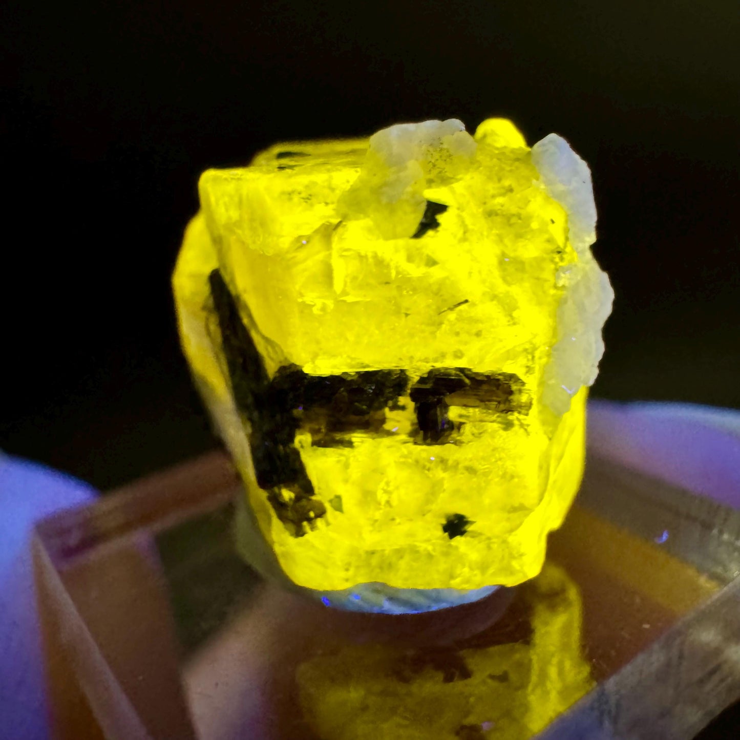 Pink Fluorapatite with Black Tourmaline | UV reactive crystal, rare mineral specimen from Pakistan