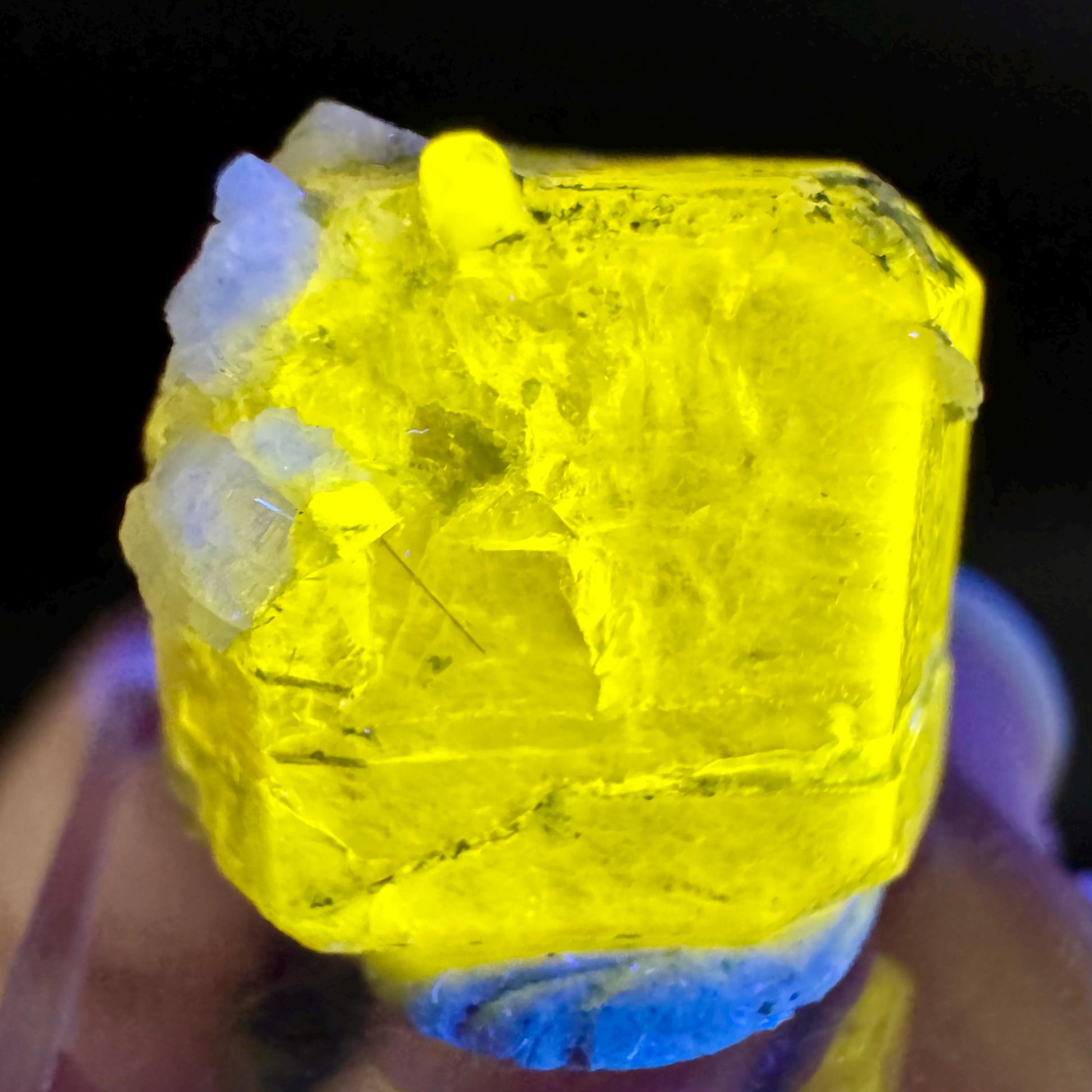 Pink Fluorapatite with Black Tourmaline | UV reactive crystal, rare mineral specimen from Pakistan